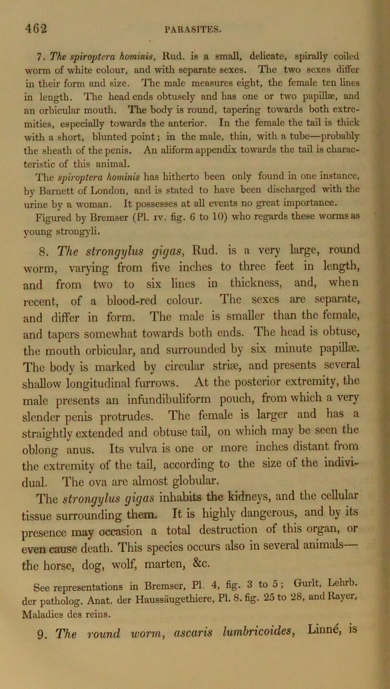 7. The spiroptcra hominis, Rud. is a small, delicate, spirally coiled worm of white colour, and with separate sexes. The two sexes differ in their form and size. The male measures eight, the female ten lines in length. The head ends obtusely and has one or two papillae, and an orbicular mouth. The body is round, tapering towards both extre- mities, especially towards the anterior. In the female the tail is thick with a short, blunted point; in the male, thin, with a tube—probably the sheath of the penis. An aliform appendix towards the tail is charac- teristic of this animal. The spiroptera hominis has hitherto been only found in one instance, by Barnett of London, and is stated to have been discharged with the urine by a woman. It possesses at all events no great importance. Figured by Bremser (PI. iv. fig. 6 to 10) who regards these worms as young strongyli. 8. The strongylus gigas, Rud. is a very large, round worm, varying from five inches to three feet in length, and from two to six lines in thickness, and, when recent, of a blood-red colour. The sexes are separate, and differ in form. The male is smaller than the female, and tapers somewhat towards both ends. The head is obtuse, the mouth orbicular, and surrounded by six minute papillae. The body is marked by circular stria?, and presents several shallow longitudinal furrows. At the posterior extremity, the male presents an infundibuliform pouch, from which a very slender penis protrudes. The female is larger and has a straightly extended and obtuse tail, on which may be seen the oblong anus. Its vulva is one or more inches distant from the extremity of the tail, according to the size of the indivi- dual. The ova are almost globular. The strongylus gigas inhabits the kidneys, and the cellular tissue surrounding them. It is highly dangerous, and by its presence may occasion a total destruction of this organ, oi even cause death. This species occurs also in several animals the horse, dog, wolf, marten, &c. See representations in Bremser, PI. 4, fig. 3 to 5; Gurlt, Lehrb. der patholog. Anat. der Haussiiugethiere, PI. 8. fig. 25 to 28, and Rayer, Maladies des reins. 9. The round worm, ascaris lumbricoides, Linne, is