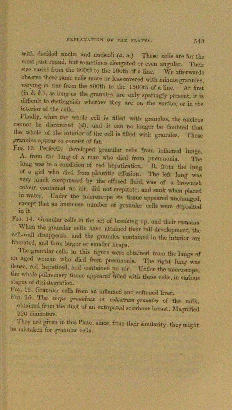 with decided nuclei and nucleoli (a. a.) These cells are for the most part round, but sometimes elongated or even angular. Their size varies from the 300th to the 100th of a line. We afterwards observe these same cells more or less covered with minute granules, varying in size from the 800th to the 1500th of a line. At first (in 5. b.), as long as the granules are only sparingly present, it is difficult to distinguish whether they are on the surface or in the interior of the cells. Finally, when the whole cell is filled with granules, the nucleus cannot be discovered (d), and it can no longer be doubted that the whole of the interior of the cell is filled with granules. These granules appear to consist of fat. I'lo. 13 Perfectly developed granular cells from inflamed lungs. A. from the lung of a man who died from pneumonia. The lung was in a condition of red hepatization. B. from the lung of a girl who died from pleuritic effusion. The left lung was very much compressed by the effused fluid, was of a brownish colour, contained no air, did not crepitate, and sank when placed in water. Under the microscope its tissue appeared unchanged, except that an immense number of granular cells were deposited in it. Fig. 14. Granular cells in the act of breaking up, and their remains. W hen the granular cells have attained their full development, the cell-wall disapjicars, and the granules contained in the interior are liberated, and form larger or smaller heaps. Tht‘ 8rra»ular cells in this figure were obtained from the lungs of an aged woman who died from pneumonia. The right lung was dense, red, hepatized, and contained no air. Under the microscope, tiie whole pulmonary tissue appeared fclled with these cells, in various stages of disintegration. Fig. 15. Granular cells from an inflamed and softened liver. Fig. 16. The corps yrunuleux or colostrum-granules of the milk, obtained from the duct of an extirpated scirrhous breast. Magnified 2*20 diameters. 1 hey are given in this Plate, since, from their similarity, they might be mistaken for granular cells.