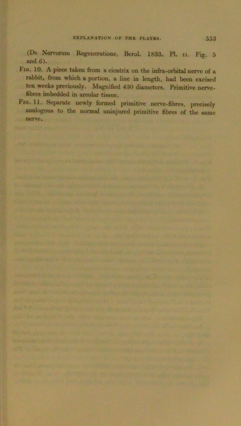 (De Nervorum Regeneratione, llerol. 1833. PI. a. Fig. 5 and 6). 1'iG. 10. A piece taken from a cicatrix on the infra-orbital nerve of a rabbit, from which a portion, a line in length, had been excised ten weeks previously. Magnified 430 diameters. Primitive nerve- fibres imbedded in areolar tissue. ha. 11. Separate newly formed primitive nerve-fibres, precisely analogous to the normal uninjured primitive fibres of the same nerve.