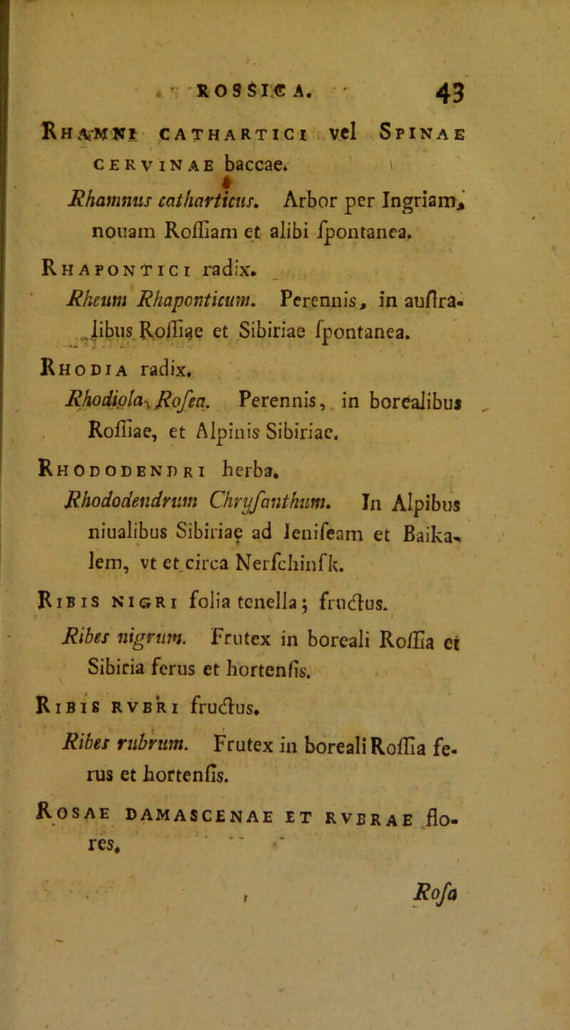 Rh Ai-M XI. CATHARTICl Vcl SPINA E cervina e baccae. i Rhamnus catharticus. Arbor per Ingriam, noiiam Rofllam et alibi fpontanea. Rhafontici radix. Rheum Rhaponticum. Perennis, in aulirà- Jibus Rollìae et Sibiriae fpontanea. Rhodia radix. RhodiglaxRofea. Perennis, in borealibu* Rollìae, et Alpinis Sibiriae. Rhododendri herba. Rhododendmm Chryfanthim. In Alpibus niualibus Sibiriae ad Jenifeam et Baika* lem, vt et circa Nerfchinfk. Ribis nigri folia tcnella : frudus. Ribes nigrtim. Frutex in boreali Rolila et Sibiria ferus et hortenlìs. Ribis rvbri frudus. Ribes rubrum. Frutex in boreali Rollìa fe- rus et hortenlìs. Rosae damascenae et rverae flo- res, *' 1 Rofa