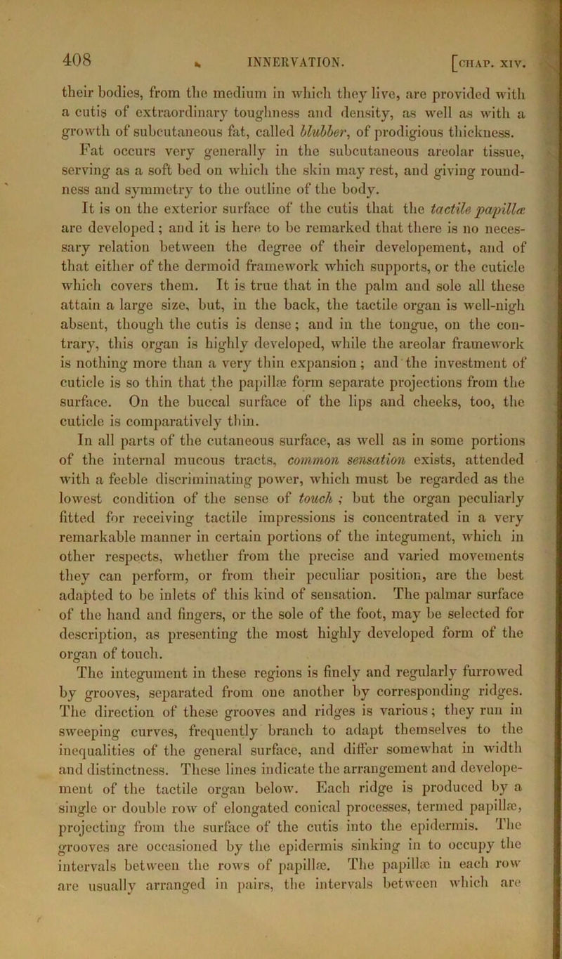 their bodies, from the medium in which they live, are provided with a cutis of extraordinary toughness and density, as well as with a growth of subcutaneous fat, called blubber, of prodigious thickness. Fat occurs very generally in the subcutaneous areolar tissue, serving as a soft bed on which the skin may rest, and giving round- ness and symmetry to the outline of the body. It is on the exterior surface of the cutis that the tactile papilla: arc developed; and it is here to be remarked that there is no neces- sary relation between the degree of their developement, and of that either of the dermoid framework which supports, or the cuticle which covers them. It is true that in the palm and sole all these attain a large size, hut, in the back, the tactile organ is well-nigh absent, though the cutis is dense; and in the tongue, on the con- trary, this organ is highly developed, while the areolar framework is nothing more than a very thin expansion; and the investment of cuticle is so thin that the papillae form separate projections from the surface. On the buccal surface of the lips and cheeks, too, the cuticle is comparatively thin. In all parts of the cutaneous surface, as well as in some portions of the internal mucous tracts, common sensation exists, attended with a feeble discriminating power, which must he regarded as the lowest condition of the sense of touch ; but the organ peculiarly fitted for receiving tactile impressions is concentrated in a very remarkable manner in certain portions of the integument, which in other respects, whether from the precise and varied movements they can perform, or from their peculiar position, are the best adapted to be inlets of this kind of sensation. The palmar surface of the hand and fingers, or the sole of the foot, may he selected for description, as presenting the most highly developed form of the organ of touch. The integument in these regions is finely and regularly furrowed by grooves, separated from one another by corresponding ridges. The direction of these grooves and ridges is various; they run in sweeping curves, frequently branch to adapt themselves to the inequalities of the general surface, and differ somewhat in width and distinctness. These lines indicate the arrangement and develope- ment of the tactile organ below. Each ridge is produced by a single or double row of elongated conical processes, termed papilla), projecting from the surface of the cutis into the epidermis. The grooves are occasioned by the epidermis sinking in to occupy the intervals between the rows of papillae. The papilla) in each row are usually arranged in pairs, the intervals between which are