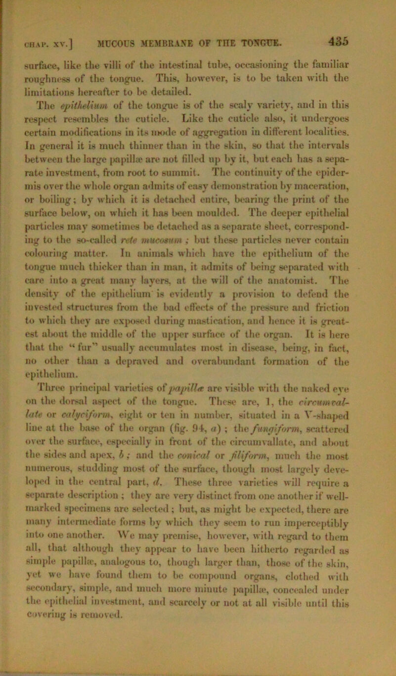 surface, like the villi of the intestinal tube, occasioning the familiar roughness of the tongue. This, however, is to be taken with the limitations hereafter to be detailed. The epithelium of the tongue is of the scaly variety, and in this respect resembles the cuticle. Like the cuticle also, it undergoes certain modifications in its mode of aggregation in different localities. In general it is much thinner than in the skin, so that the intervals between the large papillae are not filled up by it, but each has a sepa- rate investment, from root to summit. The continuity of the epider- mis over the whole organ admits of easy demonstration by maceration, or boiling; by which it is detached entire, bearing the print of the surface below, on which it has been moulded. The deeper epithelial particles may sometimes be detached as a separate sheet, correspond- ing to the so-called rete mucosum ; but these particles never contain colouring matter. In animals which have the epithelium of the tongue much thicker than in man, it admits of being separated with care into a great many layers, at the will of the anatomist. The density of the epithelium is evidently a provision to defend the invested structures from the bad effects of the pressure and friction to which they are exposed during mastication, and hence it is great- est about the middle of the upper surface of the organ. It is here that the “fur usually accumulates most in disease, being, in fact, no other than a depraved and overabundant formation of the epithelium. Three principal varieties of papilla are visible with the naked eve on the dorsal aspect of the tongue. These are, 1, the rirrumral- lote or ealyciform, eight or ten in number, situated in a V-shaped line at the base of the organ (fig. Iff, a) ; the fungiform, scattered over the surface, especially in front of the circumvallate, and about the sides and apex, b; and the conical or filiform, much the most numerous, studding most of the surface, though most largely deve- loped in the central part, d. These three varieties will require a separate description ; they are very distinct from one another if well- marked specimens are selected ; but, as might be expected, there are many intermediate forms by which they seem to run imperceptibly into one another. We may premise, however, with regard to them all, that although they appear to have been hitherto regarded as simple papillae, analogous to, though larger than, those of the skin, yet we have found them to be compound organs, clothed with secondary, simple, and much more minute papillae, concealed under the epithelial investment, and scarcely or not at all visible until this covering is removed.
