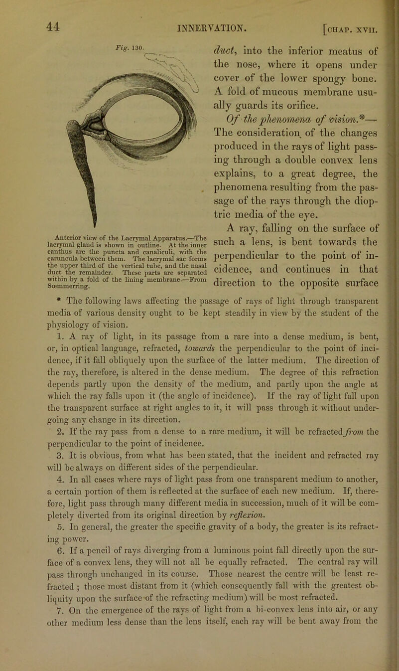 duct^ into the inferior meatus of 1 the nose, where it opens under cover of the lower spongy bone. A fold of mucous membrane usu- ally guards its orifice. * Of the ‘phenomena of vision*— | The consideration of the changes I produced in the rays of light pass- ing through a double convex lens explains, to a great degree, the - phenomena resulting from the pas- sage of the rays through the diop- - trie media of the eye. . A ray, falling on the surface of 'I such a lens, is bent towards the | perpendicular to the point of in- j cidence, and continues in that i . . V,- direction to the opposite surface ' * The following laws affecting the passage of rays of light through transparent media of various density ought to be kept steadily in view by the student of the •! physiology of vision. ; ' 1. A ray of light, in its passage from a rare into a dense medium, is bent, * j' or, in optical language, refracted, towards the perpendicular to the point of inci- dence, if it fall obliquely upon the surface of the latter medium. The direction of the ray, therefore, is altered in the dense medium. The degree of this refraction . depends partly upon the density of the medium, and partly upon the angle at ’j which the ray falls upon it (the angle of incidence). If the ray of light fall upon [ the transparent surface at right angles to it, it will pass through it without under- ^ going any change in its direction. | 2. If the ray pass from a dense to a rare medium, it will be refracted from the ti perpendicular to the point of incidence. 3. It is obvious, from what has been stated, that the incident and refracted ray y will be always on different sides of the perpendicular. 4 4. In all cases where rays of light pass from one transparent medium to another, ^ a certain portion of them is reflected at the surface of each new medium. If, there- fore, light pass through many different media in succession, much of it will be com- 1' pletely diverted from its original direction by reflexion. i 5. In general, the greater the specific gravity of a body, the greater is its refract- ; ing power. 6. If a pencil of rays diverging from a luminous point fall directly upon the sur- face of a convex lens, they will not all be equally refracted. Tbe central ray will pass through unchanged in its course. Those nearest the centre will be least re- fracted ; those most distant from it (which consequently fall with the greatest ob- j liquity upon the surface of the refracting medium) will be most refracted. \ 7. On tlic emergence of the rays of light from a bi-convex lens into air, or any j other medium less dense than the lens itself, each ray will be bent away from the j Fig. 130. Anterior view of the Lacrymal Apparatus.—The laerymal gland is shown in outline. At the inner canthus are the puneta and canalicuU, with the caruncula between them. The laerymal sac forms the upper third of the vertical tube, and the nasal duct the remainder. These parts are separated within by a fold of the lining membrane.—From Soemmerring.
