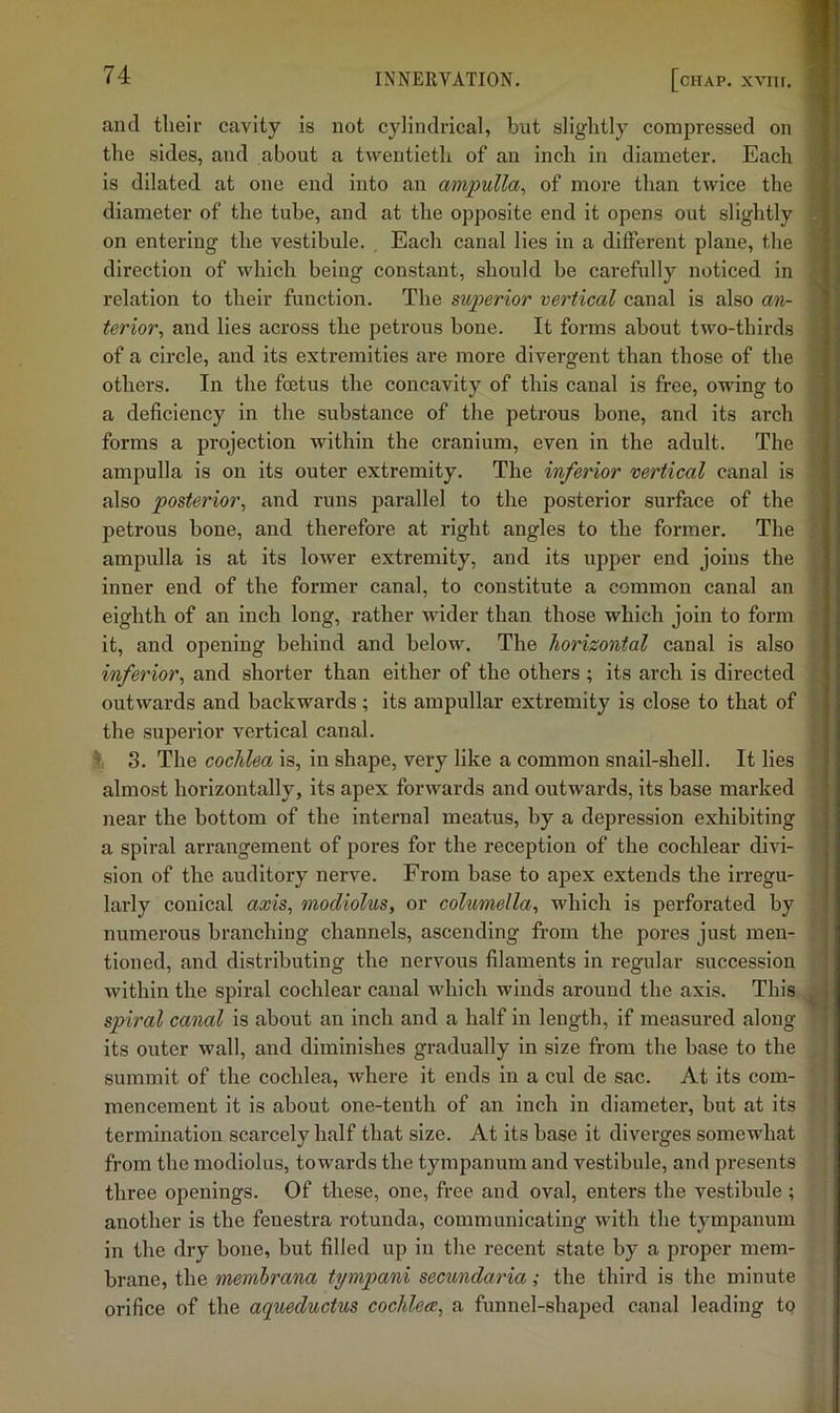 and their cavity is not cylindrical, but slightly compressed on the sides, and about a twentieth of an inch in diameter. Each is dilated at one end into an ampulla, of more than twice the diameter of the tube, and at the opposite end it opens out slightly on entering the vestibule. Each canal lies in a different plane, the direction of which being constant, should be carefully noticed in relation to their function. The superior vertical canal is also an- terior, and lies across the petrous bone. It forms about two-thirds of a circle, and its extremities are more divergent than those of the others. In the foetus the concavity of this canal is free, owing to a deficiency in the substance of the petrous bone, and its arch forms a projection within the cranium, even in the adult. The ampulla is on its outer extremity. The inferior vertical canal is also posterior, and runs parallel to the posterior surface of the petrous bone, and therefore at right angles to the former. The ampulla is at its lower extremity, and its upper end joins the inner end of the former canal, to constitute a common canal an eighth of an inch long, rather wider than those which join to form it, and opening behind and below. The horizontal canal is also inferior, and shorter than either of the others ; its arch is directed outwards and backwards ; its ampullar extremity is close to that of the superior vertical canal. 3. The cochlea is, in shape, very like a common snail-shell. It lies almost horizontally, its apex forwards and outwards, its base marked near the bottom of the internal meatus, by a depression exhibiting a spiral arrangement of pores for the reception of the cochlear divi- sion of the auditory nerve. From base to apex extends the irregu- larly conical axis, modiolus, or columella, which is perforated by numerous branching channels, ascending from the pores just men- tioned, and distributing the nervous filaments in regular succession within the spiral cochlear canal which winds around the axis. This spiral canal is about an inch and a half in length, if measured along its outer wall, and diminishes gradually in size from the base to the summit of the cochlea, where it ends in a cul de sac. At its com- mencement it is about one-tenth of an inch in diameter, but at its termination scarcely half that size. At its base it diverges somewhat from the modiolus, towards the tympanum and vestibule, and presents three openings. Of these, one, free and oval, enters the vestibule; another is the fenestra rotunda, communicating with the tympanum in the dry bone, but filled up in the recent state by a proper mem- brane, the membrana tympani secundaria; the third is the minute orifice of the aqueductus cochleee, a funnel-shaped canal leading to