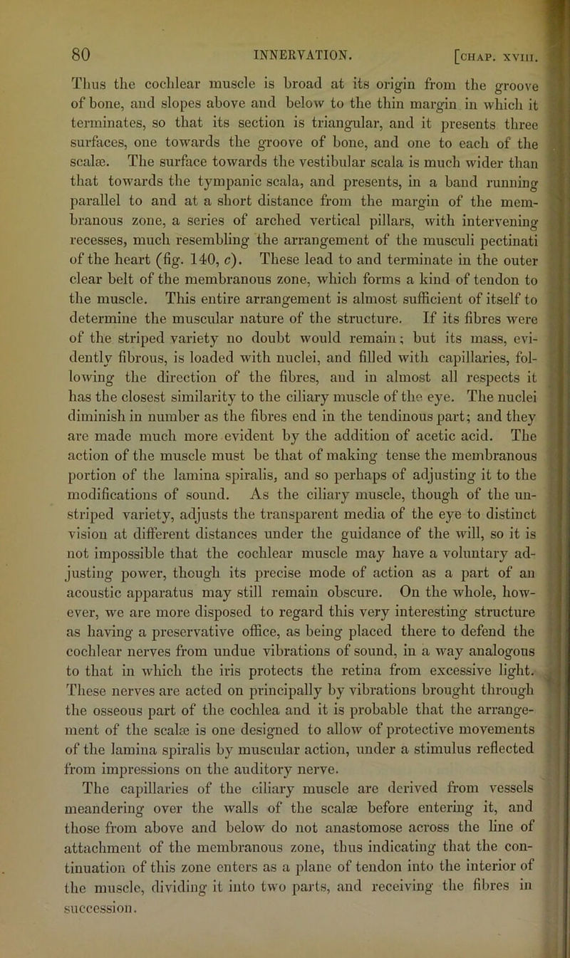 Thus the cochlear muscle is broad at its origin from the groove of bone, and slopes above and below to the thin margin in which it terminates, so that its section is triangular, and it presents three surfaces, one towards the groove of bone, and one to each of the scala3. The surface towards the vestibular scala is much wider than that towards the tympanic scala, and presents, in a band running parallel to and at a short distance from the margin of the mem- branous zone, a series of arched vertical pillars, with intervening recesses, much resembling the arrangement of the musculi pectinati of the heart (fig. 140, c). These lead to and terminate in the outer clear belt of the membranous zone, which forms a kind of tendon to the muscle. This entire arrangement is almost sufficient of itself to determine the muscular nature of the structure. If its fibres were of the striped variety no doubt would remain; but its mass, evi- dently fibrous, is loaded with nuclei, and filled with capillaries, fol- lowing the direction of the fibres, and in almost all respects it has the closest similarity to the ciliary muscle of the eye. The nuclei diminish in number as the fibres end in the tendinous part; and they are made much more evident by the addition of acetic acid. The action of the muscle must be that of making tense the membranous portion of the lamina spiralis, and so perhaps of adjusting it to the modifications of sound. As the ciliary muscle, though of the un- striped variety, adjusts the ti'ansparent media of the eye to distinct vision at different distances under the guidance of the will, so it is not impossible that the cochlear muscle may have a voluntary ad- justing power, though its j^recise mode of action as a part of an acoustic apparatus may still remain obscure. On the whole, how- ever, we are more disposed to regard this very interesting structure as having a preservative office, as being placed there to defend the cochlear nerves from undue vibrations of sound, in a way analogous to that in which the iris protects the retina from excessive light. These nerves are acted on principally by vibrations brought through the osseous part of the cochlea and it is probable that the arrange- ment of the scalje is one designed to allow of protective movements of the lamina spiralis by muscular action, under a stimulus reflected from impressions on the auditory nerve. The capillaries of the ciliary muscle are derived from vessels meandering over the walls of the seal as before entering it, and those from above and below do not anastomose across the line of attachment of the membranous zone, thus indicating that the con- tinuation of this zone enters as a plane of tendon into the interior of the muscle, dividing it into two parts, and receiving the fibres in . succession.
