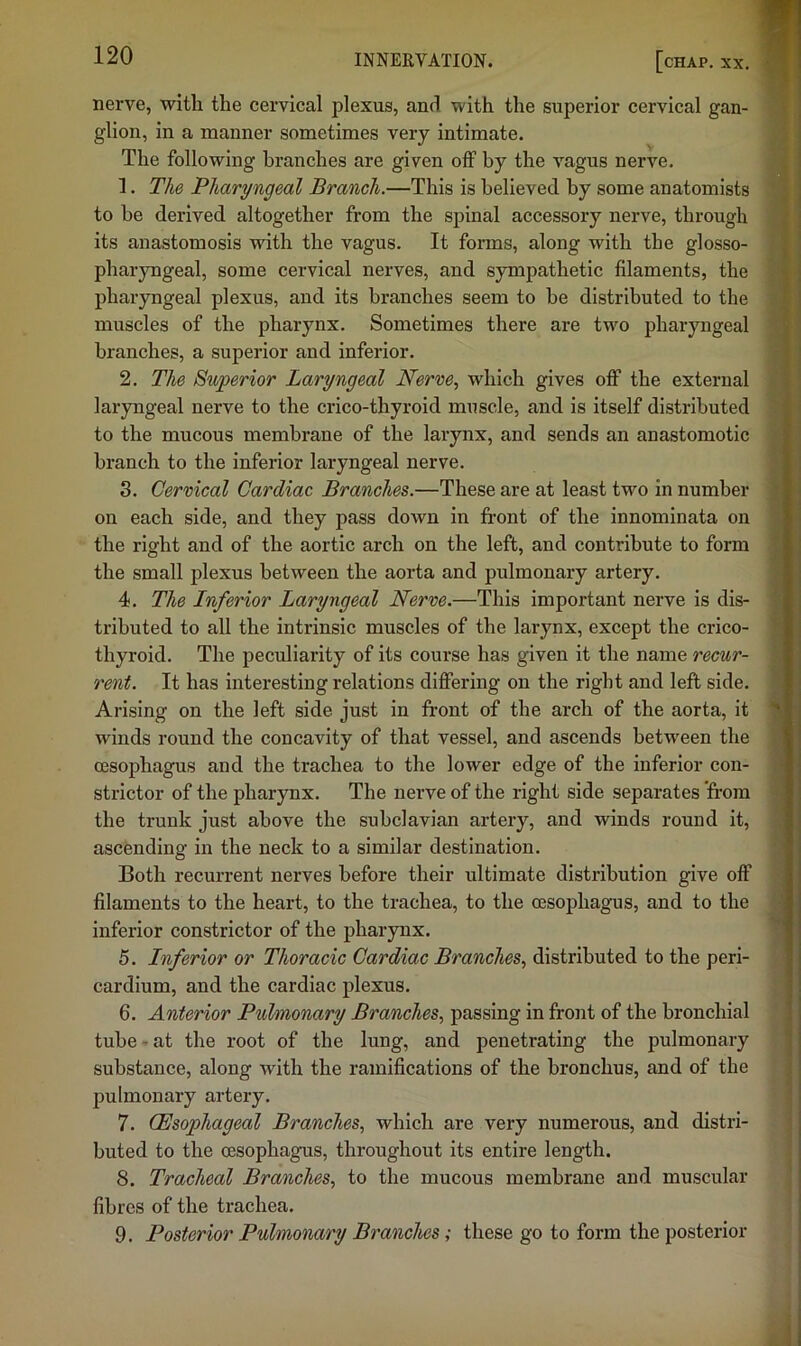 nerve, with the cervical plexus, and with the superior cervical gan- glion, in a manner sometimes very intimate. The following branches are given off by the vagus nerve. 1. The Pharyngeal Branch.—This is believed by some anatomists to be derived altogether from the spinal accessory nerve, through its anastomosis with the vagus. It forms, along with the glosso- pharyngeal, some cervical nerves, and sympathetic filaments, the pharyngeal plexus, and its branches seem to be distributed to the muscles of the pharynx. Sometimes there are two pharyngeal branches, a superior and inferior. 2. The Superior Laryngeal Nerve, which gives oflp the external laryngeal nerve to the crico-thyroid muscle, and is itself distributed to the mucous membrane of the larynx, and sends an anastomotic branch to the inferior laryngeal nerve. 3. Cervical Cardiac Branches.—These are at least two in number on each side, and they pass down in front of the innominata on the right and of the aortic arch on the left, and contribute to form the small plexus between the aorta and pulmonary artery. 4. The Inferior Laryngeal Nerve.—This important nerve is dis- tributed to all the intrinsic muscles of the larynx, except the crico- thyroid. The peculiarity of its course has given it the name recur- rent. It has interesting relations differing on the right and left side. Arising on the left side just in front of the arch of the aorta, it winds round the concavity of that vessel, and ascends between the (Esophagus and the trachea to the lower edge of the inferior con- strictor of the pharynx. The nerve of the right side separates from the trunk just above the subclavian artery, and winds round it, ascending in the neck to a similar destination. Both recurrent nerves before their ultimate distribution give off filaments to the heart, to the trachea, to the oesophagus, and to the inferior constrictor of the pharynx. 5. Inferior or Thoracic Cardiac Branches, distributed to the peri- cardium, and the cardiac plexus. 6. Anterior Pulmonary Branches, passing in front of the bronchial tube-at the root of the lung, and penetrating the pulmonary substance, along with the ramifications of the bronchus, and of the pulmonary artery. 7. (Esophageal Branches, which are very numerous, and distri- buted to the oesophagus, throughout its entire length. 8. Tracheal Branches, to the mucous membrane and muscular fibres of the trachea. 9. Posterior Pulmonary Branches; these go to form the posterior