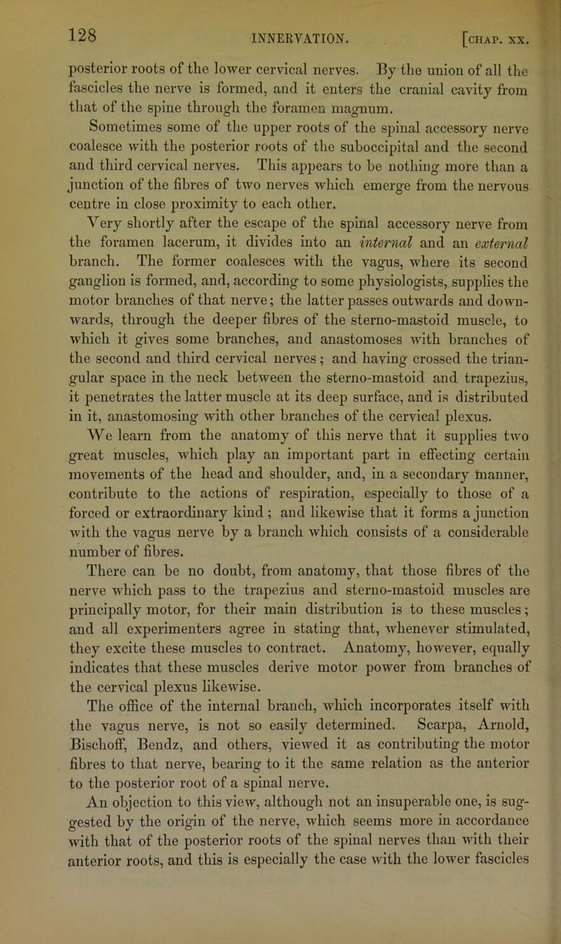 posterior roots of the lower cerviccal nerves. By the union of all the fascicles the nerve is formed, and it enters the cranial cavity from that of the spine through the foramen magnum. Sometimes some of the upper roots of the spinal accessory nerve coalesce with the posterior roots of the suhoccipital and the second and third cervical nerves. This appears to be nothing more than a junction of the fibres of two nerves which emerge from the nervous centre in close proximity to each other. Very shortly after the escape of the spinal accessory nerve from the foramen lacerum, it divides into an internal and an external branch. The former coalesces with the vagus, where its second ganglion is formed, and, according to some physiologists, supplies the motor branches of that nerve; the latter passes outwards and down- wards, through the deeper fibres of the sterno-mastoid muscle, to which it gives some branches, and anastomoses with branches of the second and third cervical nerves; and having crossed the trian- gular space in the neck between the sterno-mastoid and trapezius, it penetrates the latter muscle at its deep surface, and is distributed in it, anastomosing with other branches of the cervical plexus. We learn from the anatomy of this nerve that it supplies two great muscles, which play an important part in effecting certain movements of the head and shoulder, and, in a secondary manner, contribute to the actions of respiration, especially to those of a forced or extraordinary kind ; and likewise that it forms a junction with the vagus nerve by a branch which consists of a considerable number of fibres. There can be no doubt, from anatomy, that those fibres of the nerve Avhich pass to the trapezius and sterno-mastoid muscles are principally motor, for their main distribution is to these muscles; and all experimenters agi’ee in stating that, whenever stimulated, they excite these muscles to contract. Anatomy, however, equally indicates that these muscles derive motor power from branches of the cervical plexus likewise. The ofiice of the internal branch, which incorporates itself with the vagus nerve, is not so easily determined. Scarpa, Arnold, Bischoff, Bendz, and others, viewed it as contributing the motor fibres to that nerve, bearing to it the same relation as the antei’ior to the posterior root of a spinal nerve. An objection to this view, although not an insuperable one, is sug- gested by the origin of the nerve, which seems more in accordance with that of the posterior roots of the spinal nerves than with their anterior roots, and this is especially the case with the lower fascicles