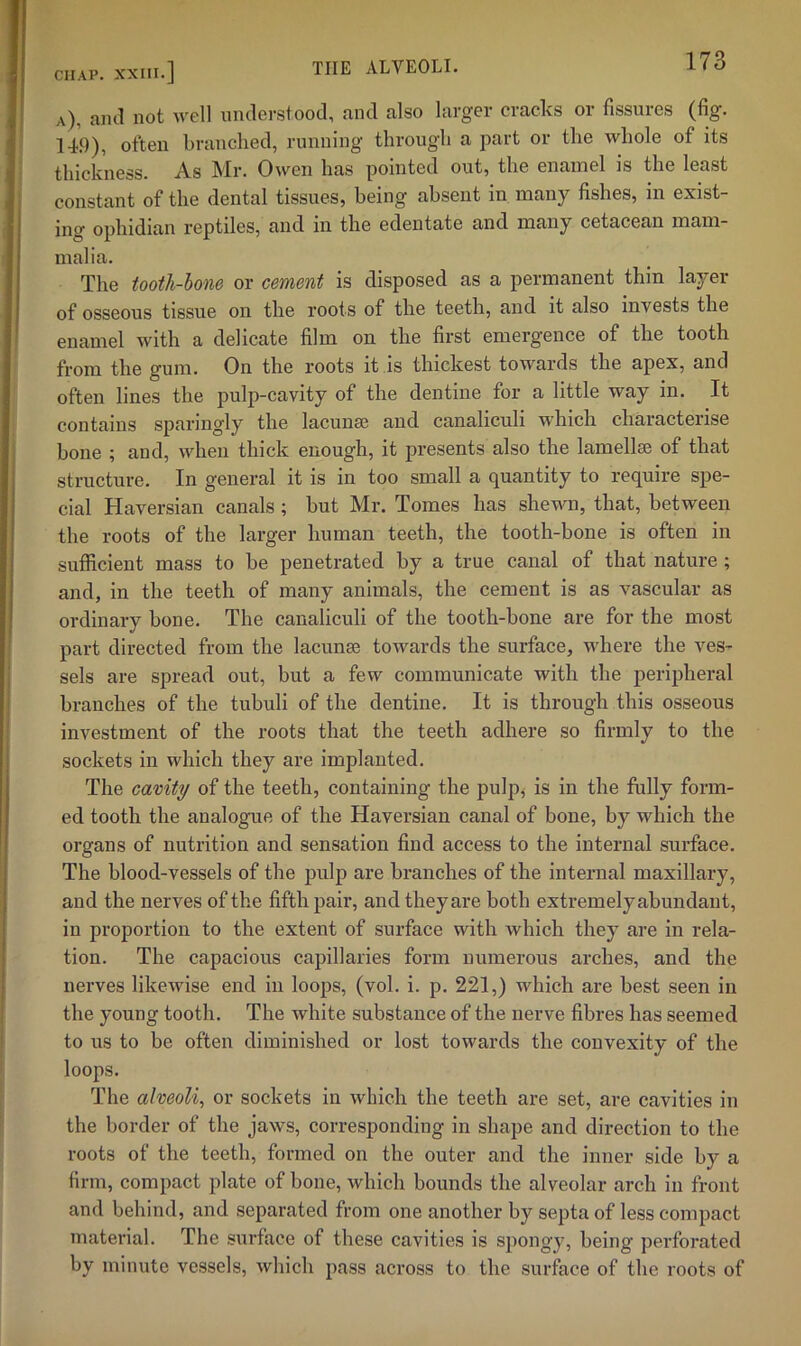 a), ami not well iiiulerstood, and also larger cracks or fissures (fig. 14.9), often branched, running through a part or the whole of its thickness. As Mr. Owen has pointed out, the enamel is the least constant of the dental tissues, being absent in many fishes, in exist- ing ophidian reptiles, and in the edentate and many cetacean mam- malia. The tooth-lone or cement is disposed as a permanent thin layer of osseous tissue on the roots of the teeth, and it also invests the enamel with a delicate film on the first emergence of the tooth from the gum. On the roots it is thickest towards the apex, and often lines the pulp-cavity of the dentine for a little way in. It contains sparingly the lacunae and canaliculi which characterise bone ; and, when thick enough, it presents also the lamellae of that structure. In general it is in too small a quantity to require spe- cial Haversian canals; but Mr. Tomes has shewn, that, between the roots of the larger human teeth, the tooth-bone is often in sufficient mass to be penetrated by a true canal of that nature ; and, in the teeth of many animals, the cement is as vascular as ordinary bone. The canaliculi of the tooth-bone are for the most part directed from the lacunse towards the surface, where the ves- sels are spread out, but a few communicate with the periiffieral branches of the tubuli of the dentine. It is through this osseous investment of the roots that the teeth adhere so firmly to the sockets in which they are implanted. The cavity of the teeth, containing the pulp^ is in the fully form- ed tooth the analogue of the Haversian canal of bone, by which the organs of nutrition and sensation find access to the internal surface. The blood-vessels of the pulp are branches of the internal maxillary, and the nerves of the fifth pah’, and they are both extremelyabundant, in proportion to the extent of surface with which they are in rela- tion. The capacious capillaries form numerous arches, and the nerves likewise end in loops, (vol. i. p. 221,) which are best seen in the young tooth. The white substance of the nerve fibres has seemed to us to be often diminished or lost towards the convexity of the loops. The alveoli^ or sockets in which the teeth are set, are cavities in the border of the jaws, corresponding in shape and direction to the roots of the teeth, formed on the outer and the inner side by a firm, compact plate of bone, which bounds the alveolar arch in front and behind, and separated from one another by septa of less compact material. The surface of these cavities is spongy, being perforated by minute vessels, which pass across to the surface of the roots of