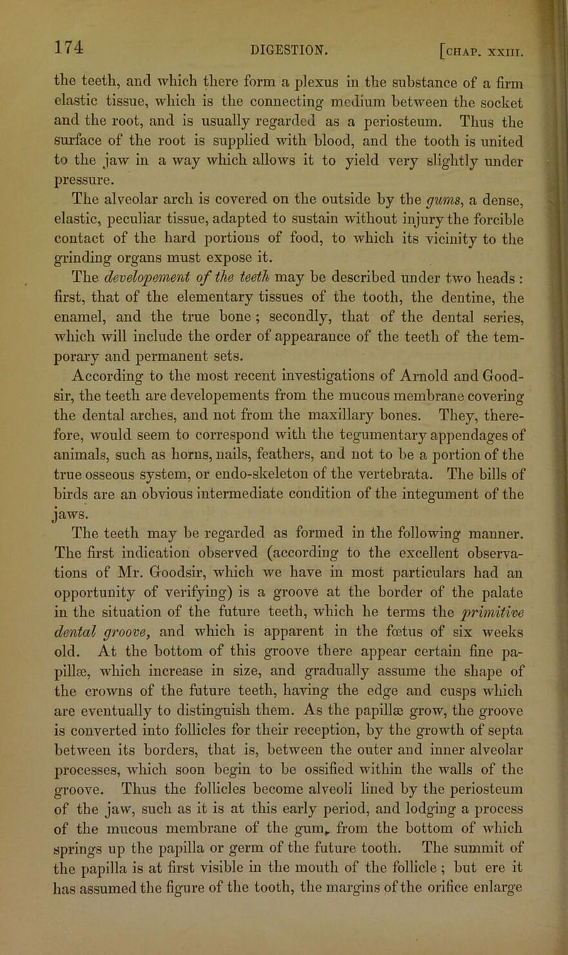 the teeth, and which there form a plexus in the substance of a firm elastic tissue, which is the connecting medium between the socket and the root, and is usually regarded as a periosteum. Thus the surface of the root is supplied with blood, and the tooth is united to the jaw in a way which allows it to yield very slightly under pressure. The alveolar arch is covered on the outside by the gums^ a dense, elastic, peculiar tissue, adapted to sustain without injury the forcible contact of the hard portions of food, to which its vicinity to the grinding organs must expose it. The developement of the teeth may be described under two heads : first, that of the elementary tissues of the tooth, the dentine, the enamel, and the true bone ; secondly, that of the dental series, which will include the order of appearance of the teeth of the tem- porary and permanent sets. According to the most recent investigations of Arnold and Good- sir, the teeth are developements from the mucous membrane covering the dental arches, and not from the maxillary bones. They, there- fore, would seem to correspond with the tegumentary appendages of animals, such as horns, nails, feathers, and not to be a portion of the true osseous system, or endo-skeleton of the vertebrata. The bills of birds are an obvious intermediate condition of the integument of the jaws. The teeth may be regarded as formed in the following manner. The first indication observed (according to the excellent observa- tions of Mr. Goodsir, which we have in most particulars had an opportunity of verifying) is a groove at the border of the palate in the situation of the future teeth, which he terms the primitive dental groove, and which is apparent in the foetus of six weeks old. At the bottom of this groove there appear certain fine pa- pillae, which increase in size, and gradually assume the shape of the crowns of the future teeth, having the edge and cusps which are eventually to distinguish them. As the papillae grow, the groove is converted into follicles for their reception, by the growth of septa between its borders, that is, between the outer and inner alveolar processes, which soon begin to be ossified within the walls of the groove. Thus the follicles become alveoli lined by the periosteum of the jaw, such as it is at this early period, and lodging a process of the mucous membrane of the gum, from the bottom of which springs up the papilla or germ of the future tooth. The summit of the papilla is at first visible in the mouth of the follicle ; but ere it has assumed the figure of the tooth, the margins of the orifice enlarge