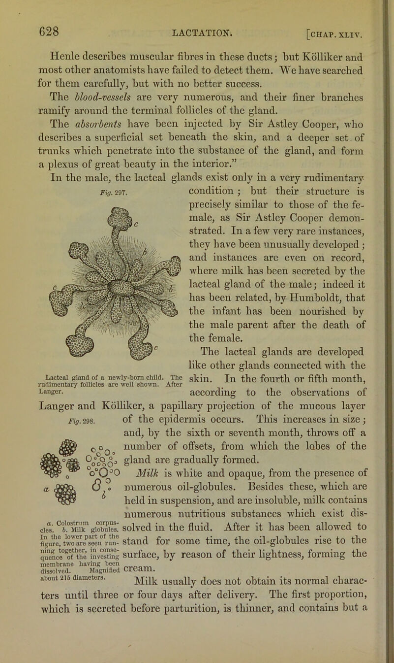 Henle describes muscular fibres in these ducts; but Kolliker and most other anatomists have failed to detect them. We have searched for them carefullyj hut with no better success. The blood-vessels are very numerous, and their finer branches ramify around the terminal foUicles of the gland. The absorbents have been injected by Sir Astley Cooper, wlio describes a superficial set beneath the skin, and a deeper set of trunks which penetrate into the substance of the gland, and form a plexus of great beauty in the interior.” In the male, the lacteal glands exist only in a very rudimentary Fig.m. condition ; but their structure is precisely similar to those of the fe- male, as Sir Astley Cooper demon- strated. In a few very rare instances, they have been unusually developed; and instances arc even on record, where milk has been secreted by the lacteal gland of the male; indeed it has been related, by Humboldt, that the infant has been nourished by the male parent after the death of the female. The lacteal glands are developed like other glands connected with the In the fourth or fifth month, according to the observations of Langer and KoUiker, a papillary projection of the mucous layer Fig. 298. of tlic cpidcrmis occurs. This increases in size; and, by the sixth or seventh month, throws off a number of offsets, from which the lobes of the gland are gradually formed. d‘0^0 Milk is white and opaque, from the presence of (3,0 numerous oil-globules. Besides these, which are held in suspension, and are insoluble, milk contains numerous nutritious substances which exist dis- ciel'. im™giotaiTsi solved in the fluid. After it has been allowed to flVre! two we’seeu rin- stand foi’ somc time, the oil-globules rise to the queLe°®oMhe invSg surfacc, by Tcason of their lightness, forming the membrane having been dissolved. Magnified CIcclJll. about 215 diameters. Milk Usually docs uot obtain its normal charac- ters until three or four days after delivery. The first proportion, which is secreted before parturition, is thinner, and contains but a Lacteal gland of a newly-bom cliild. The skin, rudimentary follicles are well shown. After Langer. Oo 0“o oooO i