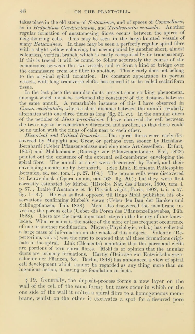 takes place in the old stems of Scitamineoe, and of speces of Commelinem, as in Hedychium Gardnerianum, and Tradescantia crassula. Another regular formation of anastomosing fibres occurs between the spires of neighbouring cells. This may be seen in the large knotted vessels of many Balsaminece. In these may be seen a perfectly regular spiral fibre with a slight yellow colouring, but accompanied by another short, almost colourless, vertical branch, which is easily recognised by its transparency. If this is traced it will be found to follow accurately the course of the commissure between the two vessels, and to form a kind of bridge over the commissure from one fibre to another. This clearly does not belong to the original spiral formation. Its constant appearance in porous vessels, with long transverse clefts, lias caused it to be called scalariform tissue. In the last place the annular ducts present some striking phenomena, amongst which must be reckoned the constancy of the distance between the same annuli. A remarkable instance of this I have observed in Carina occidentalism where a short distance between the annuli regularly alternates with one three times as long (fig. 31. a.). In the annular ducts of the petioles of Musa paradisicica, 1 have observed the cell between the two rings to be remarkably distended and swollen, so that there could be no union with the rings of cells near to each other. Historical and Critical Remarks. — The spiral fibres were early dis- covered by Malpighi and Grew, or perhaps even sooner by Henshaw. Bernhardi (Ueber Pflanzengefiisse und eine neue Art desselben : Erfurt, 1805) and Moldenhauer (Beitriige zur Pflanzenanatomie: Kiel, 1822) pointed out the existence of the external cell-membrane enveloping the spiral fibre. The annuli or rings were discovered by Babel, and their enveloping membrane by Bernhardi. (See Link, Elementa Philosophise Botanicse, ed. sec. tom. i. p. 27. 169.) The porous cells were discovered by Leuwenhoek (Opera omnia, tab. 462. fig. 20.); but they were first correctly estimated by Mirbel (Histoire Nat. des Plantes, 1800, tom. i. p. 57. ; Traite d’Anatomie et de Physiol, veget., Paris, 1802, t. i. p. 57. fig. 1—4.). He was at first opposed till Hugo Mohl published his ob- servations confirming Mirbel’s views (Ueber den Bau der Ranken und Schlingpflanzen, Tiib. 1828). Mohl also discovered the membrane in- vesting the porous cells (Ueber die Poren des Pflanzenzellgewebes, Tiib. 1828). These are the most important steps in the history of our know- ledge. What remains is the notice of the more or less frequent occurrence ot one or another modification. Meyen (Physiologie, vol. i.) has collected a large mass of information on the whole of this subject. Valentin (Re- pertorium, vol. i.) was the first to contend that all these formations origi- nate in the spiral. Link (Elementa) maintains that the pores and clefts are portions of torn spiral fibres. Mohl is of opinion that the annular ducts are primary formations. Ilartig (Beitriige zur Entwickelungsge- schichte der Pflanzen, &c. Berlin, 1848) has announced a view of spiral cell development which cannot be regarded as any thing more than an ingenious fiction, it having no foundation in facts. § 19. Generally, the deposit-process forms a new layer on the wall of the cell of the same form; but cases occur in which on the one side of the wall it unites a spiral fibre to a homogeneous mem- brane, whilst on the other it excavates a spot for a fissured pore