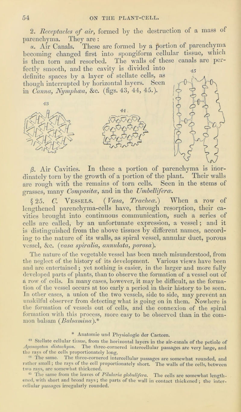 2. Receptacles of ah', formed by the destruction of a mass of parenchyma. They are : a. Air Canals. These are formed by a portion of parenchyma becoming changed first into spongiform cellular tissue, which is then torn and resorbed. The walls of these canals are per- fectly smooth, and the cavity is divided into definite spaces by a layer of stellate cells, as though interrupted by horizontal layers. Seen in Caniia, Nymphcea, &c. (figs. 43, 44, 45.). /3. Air Cavities. In these a portion of parenchyma is inor- dinately torn by the growth of a portion of the plant. Their walls are rough with the remains of torn cells. Seen in the stems of grasses, many Composites, and in the Umbelliferce. § 25. C. Vessels. (Vasa, Trachece.) When a row of lengthened parenchyma-cells have, through resorption, their ca- vities brought into continuous communication, such a series of cells are called, by an unfortunate expression, a vessel; and it is distinguished from the above tissues by different names, accord- ing to the nature of its walls, as spiral vessel, annular duct, porous vessel, &c. (vasa spiralia, annulata, porosaf The nature of the vegetable vessel has been much misunderstood, from the neglect of the history of its development. Various views have been and are entertained; yet nothing is easier, in the larger and more fully developed parts of plants, than to observe the formation of a vessel out of a row of cells. In many cases, however, it may be difficult, as the forma- tion of the vessel occurs at too early a period in their history to be seen. In other cases, a union of the two vessels, side to side, may prevent an unskilful observer from detecting what is going on in them. Nowhere is the formation of vessels out of cells, and the connexion of the spiral formation with this process, more easy to be observed than in the com- mon balsam (Ralsamina).* * Anatomic und Physiologic der Cacteen. 1:1 Stellate cellular tissue, from the horizontal layers in the air-canals of the petiole of Apouogeton distachyon. 1 he three-cornered intercellular passages are very large, and the rays of the cells proportionately long. 11 I he same. I he three-cornered intercellular passages are somewhat rounded, and rather small; the rays of the cell proportionately short. The walls of the cells, between two rays, are somewhat thickened. The same from the leaves of Pilularia globulifera. The cells are somewhat length- ened, with short and broad rays; the parts of the wall in contact thickened ; the inter- cellular passages irregularly rounded.