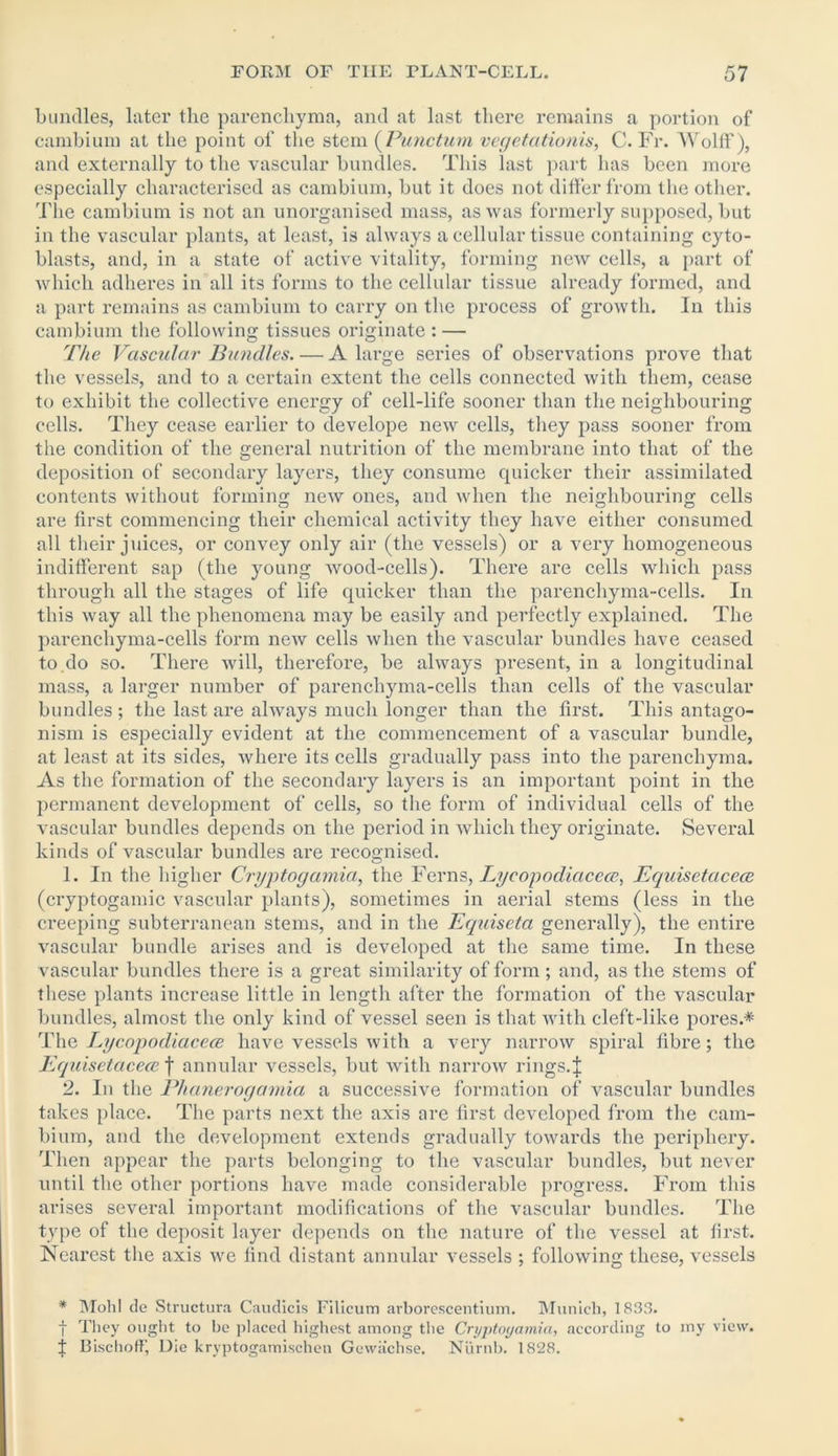 bundles, latex* the pai’encliyma, and at last there remains a portion of cambium at the point of the stem (Punctum vegetationis, C. Fr. Wolff), and externally to the vascular bundles. This last part has been more especially characterised as cambium, but it does not differ from the othei*. The cambium is not an unorganised mass, as was formerly supposed, but in the vascular plants, at least, is always a cellular tissue containing cyto- blasts, and, in a state of active vitality, forming ucav cells, a part of which adheres in all its forms to the cellular tissue already formed, and a part remains as cambium to carry on the process of gx*owth. In this cambium the following tissues originate : — The Vascular Bundles. — A large series of observations pi*ove that the vessels, and to a certain extent the cells connected with them, cease to exhibit the collective enei’gy of cell-life sooner than the neighbouring cells. They cease earlier to develope new cells, they pass sooner from the condition of the general nutrition of the membrane into that of the deposition of secondary layers, they consume quicker their assimilated contents without forming new ones, and when the neighbouring cells are first commencing their chemical activity they have either consumed all their juices, or convey only air (the vessels) or a vei*y homogeneous indifferent sap (the young wood-cells). There are cells which pass through all the stages of life quicker than the parenchyma-cells. In this way all the phenomena may be easily and perfectly explained. The parenchyma-cells form new cells when the vascular bundles have ceased to.do so. There will, tliei’efore, be always present, in a longitudinal mass, a larger number of parenchyma-cells than cells of the vascular bundles ; the last are always much longer than the first. This antago- nism is especially evident at the commencement of a vascular bundle, at least at its sides, where its cells gradually pass into the parenchyma. As the formation of the secondary layers is an important point in the permanent development of cells, so the form of individual cells of the vascular bundles depends on the period in which they originate. Sevei'al kinds of vascular bundles ax*e recognised. 1. In the higher Cryptogamia, the Ferns, Lycoyodiacem, Equisetacece (cryptogamic vascular plants), sometimes in aerial stems (less in the creeping subterranean stems, and in the Equiseta generally), the entire vascular bundle ai’ises and is developed at the same time. In these vascular bundles thei’e is a gi'eat similarity of form ; and, as the stems of these plants increase little in length after the formation of the vascular bundles, almost the only kind of vessel seen is that with cleft-like pores.* The Lycopodiacece have vessels with a vei*y narrow spiral fibre; the Equisetacece f annular vessels, but with narrow rings.J 2. In the Phanerogamia a successive formation of vascular bundles takes place. The parts next the axis are first developed from the cam- bium, and the development extends gradually towards the periphery. Then appear the parts belonging to the vascular bundles, but never until the other portions have made considerable progress. From this arises sevei’al impoi’tant modifications of the vascular bundles. The type of the deposit layer depends on the nature of the vessel at first. Neai’est the axis we find distant annular vessels ; following these, vessels * Mohl de Structura Caudicis Filicum arborescentiuin. Munich, 1833. f They ought to be placed highest among the Cryptoyamia, according to my view. f BischofF, Die kryptogamischen Gewachse. Numb. 1828.