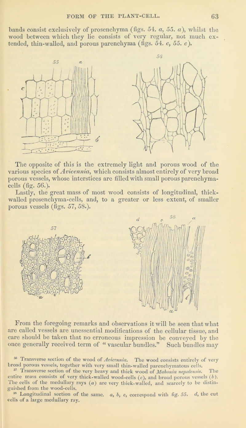 bands consist exclusively of prosenchyma (figs. 54. a, 55. a), whilst the wood between which they lie consists of very regular, not much ex- tended, thin-walled, and porous parenchyma (figs. 54. c, 55. c). The opposite of this is the extremely light and porous wood of the various species of Avicennia, which consists almost entirely of very broad porous vessels, whose interstices are tilled with small porous parenchyma- cells (fig. 56.). Lastly, the great mass of most wood consists of longitudinal, thick- walled prosenchyma-cells, and, to a greater or less extent, of smaller porous vessels (figs. 57, 58.). From the foregoing remarks and observations it will be seen that what are called vessels are unessential modifications of the cellular tissue, and care should be taken that no erroneous impression be conveyed by the once generally received term of “ vascular bundles.” Such bundles may ',li -Transverse section of the wood of Avicennia. The wood consists entirely of very broad porous vessels, together with very small thin-walled parenchymatous cells. 57 transverse section of the very heavy and thick wood of Mahonia nepalensis. The entire mass consists ol very thick-walled wood-cells (c), and broad porous vessels (5). The cells of the medullary rays (a) are very thick-walled, and scarcely to be distin- guished from the wood-cells. M Longitudinal section of the same, a, b, c, correspond with fig. 55. d, the cut cells of a large medullary ray.