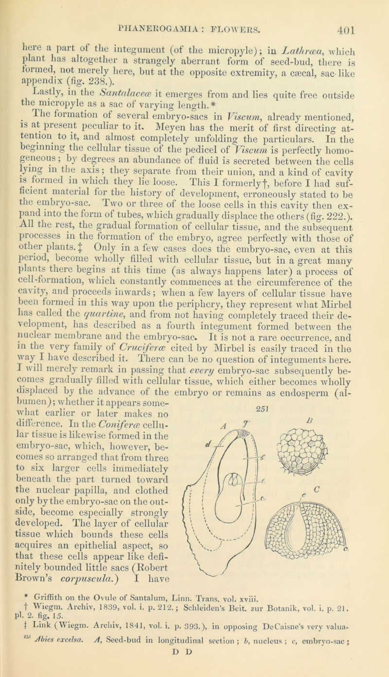 here a part of the integument (of the micropyle); in Lathrcea, which plant has altogether a strangely aberrant form of seed-bud, there is formed, not merely here, but at the opposite extremity, a cmcal, sac like appendix (fig. 238.). Lastly, in the Santalacea it emerges from and lies quite free outside the micropyle as a sac of varying length.* . formation of several embryo-sacs in Viscum, already mentioned, is at present peculiar to it. Meyen has the merit of first directing at- tention to it, and almost completely unfolding the particulars. In the beginning the cellular tissue of the pedicel of Viscum is perfectly homo- geneous ; by degrees an abundance of fluid is secreted between the cells ljing in the axis; they separate from their union, and a kind of cavity is formed in which they lie loose. This I formerlyf, before I had suf- ficient material for the history of development, erroneously stated to be the embryo-sac. iwo or three of the loose cells in this cavity then ex- pand into the form of tubes, which gradually displace the others (fig. 222.). All the rest, the gradual formation of cellular tissue, and the subsequent piocesses in the formation of the embryo, agree perfectly with those of other plants, j Only in a few cases does the embryo-sac, even at this period, become wholly filled with cellular tissue, but in a great many plants there begins at this time (as always happens later) a process of cell-formation, which constantly commences at the circumference of the cavity, and proceeds inwards; when a few layers of cellular tissue have been formed in this way upon the periphery, they represent what Mirbel has called the quartine, and from not having completely traced their de- velopment, has described as a fourth integument formed between the nuclear membrane and the embryo-sac. It is not a rare occurrence, and in the very family of Crucifercc cited by Mirbel is easily traced in the way I have described it. There can be no question of integuments here. I will merely remark in passing that every embryo-sac subsequently be- comes gradually filled with cellular tissue, which either becomes wholly displaced by the advance of the embryo or remains as endosperm (al- bumen); whether it appears some- what earlier or later makes no difference. In the Coniferce cellu- lar tissue is likewise formed in the embryo-sac, which, however, be- comes so arranged that from three to six larger cells immediately beneath the part turned toward the nuclear papilla, and clothed only by the embryo-sac on the out- side, become especially strongly developed. The layer of cellular tissue which bounds these cells acquires an epithelial aspect, so that these cells appear like defi- nitely bounded little sacs (Robert Brown’s corpuscvla.) I have * Griffith on the Ovule of Santalum, Linn. Trans, vol. xviii. f Wiegm. Archiv, 1839, vol. i. p. 212.; Schleiden’s Beit, zur Botanik, vol. i. p. 21. Pk 2. fig. 15. f Link (Wiegm. Archiv, 1841, vol. i. p. 393.), in opposing DeCaisne’s very valua- Abies excelsa. A, Seed-bud in longitudinal section ; b, nucleus ; c, embryo-sac ; D D 251