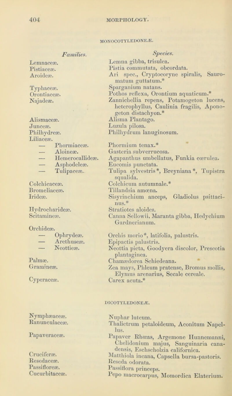 MONOCOTYLEDONEyE. Families. Lemnacece. Pistiaceae. Aroideae. Typhaceae. Orontiaceae. Najadeae. Alismaceae. Junceae. Philhydreae. Liliaceae. — Phormiaceae. — Aloineae. — Hemerocallideae. — Asphodeleae. — Tulipaceae.. Colchicaceae. Bromeliaceae. Irideae. Hydrocharideae. Scitamineae. Orchideae. — Ophrydese. — Arethuseae. — Neottieae. Palmae. Gramineae. Cyperaceas. Sj)ecies. Lenina gibba, trisulea. Pistia commutata, obcordata. Ari spec., Cryptocoryne spiralis, Sauro- matum guttatum.* Sparganium natans. Potlios reflexa, Orontium aquaticum.* Zannichellia repens, Potamogeton lucens, heterophyllus, Caulinia fragilis, Apono- geton distachyon.* Alisma Plantago. Luzula pilosa. Philhydrum lanuginosum. Phormium tenax.* Gasteria subverrucosa. Agapanthus umbellatus, Funkia coerulea. Eucomis punctata. Tulipa sylvestris*, Breyniana *, Tupistra squalida. Colchicum autumnale.* Tillandsia amoena. Sisyrinchium anceps, Gladiolus psittaci- 11US.* Stratiotes aloides. Canna Sellowii, Maranta gibba, Iledychium Gardnerianum. Orchis rnorio*. latifolia, palustris. Epipactis palustris. Neottia picta, Goodyera discolor, Prescotia plantaginea. Chamaedorea Schiedeana. Zea mays, Phleum pratense, Bromus mollis, Elymus arenarius, Secale cereale. Carex acuta.* Nymphaeaceae. Ranunculaceae. Papaveracese. Cruci ferae. Resedaceae. Passifloreae. Cucurbitaceae. DICOTYLEDONE-ffi. Nuphar luteum. Thalictrum petaloideum, Aconitum Napel- lus. Papaver Rhccas, Argemone Hunnemanni, Chelidonium majus, Sanguinaria cana- densis, Eschscholzia californica. Matthiola incana, Capsella bursa-pastoris. Reseda odorata. Passiflora princeps. 1 epo macrocarpus, Momordica Elaterium.