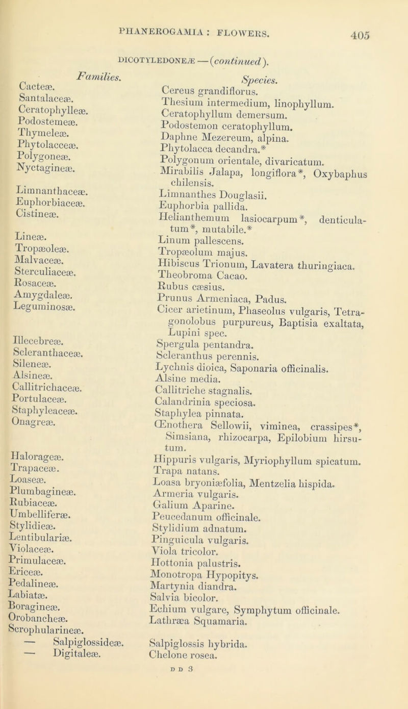 licotvlelonea: — (continued). Families. Cactea?. Santalace®. Ceratophyllejje. Podostemem. Thymeleae. Phytolacce®. Polygoneae. Nyctagineas. Limnanthaceae. Euphorbiaceas. Cistineae. Lineae. Tropaeoleae. Malvaceae. Sterculiaiceae. Rosaceae. Amygdaleae. Legurainosae. Illecebreae. Scleranthaceae. Sileneae. Alsineae. Callitrichaceae. Portulaceae. Stapbyleaceae. Onagreae. IJalorageae. Trapaceae. Loaseae. Plumbagineae. Rubiaceae. Umbellilerae. Stylidieae. Lentibulariae. Violaceae. Primulaceae. Ericeae. Pedailineae. Labiatae. Boragineaa. Orobancheae. Scrophularineae. — Salpiglossideae. — Digitaleae. Species. Cereus grandiflorus. Thesium intermedium, linophyllum. Ceratophyllum demersum. Podostemon ceratophyllum. Daphne Mezereum, alpina. Phytolacca decandra.* Polygonum orientale, divaricatum. Mirabilis Jalapa, longiflora*, Oxybaphus chilensis. Limnanthes Douglasii. Euphorbia pallida. Helianthemum lasiocarpum *, denticula- tum*, mutabile.* Linum pallescens. Tropaeolum majus. Hibiscus Trionum, Lavatera thuringiaca. Theobroma Cacao. Rubus caesius. Prunus Armeniaca, Padus. Cicer arietinum, Pliaseolus vulgaris, Tetra- go nolob us purpureus, Baptisia exaltata, Lupini spec. Spergula pentandra. Scleranthus perennis. Lychnis dioica, Saponaria officinalis. Alsine media. Callitriche stagnailis. Calandrinia speciosa. Staphylea pinnata. GEnothera Sellowii, viminea, crassipes*, Simsiana, rhizocarpa, Epilobium hirsu- tum. Hippuris vulgaris, Myriophyllum spicatuin. Trapa natans. Loasa bryonisefolia, Mentzelia hispida. Armeria vulgaris. Galium Aparine. Peucedanum officinale. Stylidium adnatum. Pinguicula vulgaris. Viola tricoloi*. ITottonia palustris. Monotropa Hypopitys. Martynia diandra. Salvia bicolor. Echium vulgare, Symphytum officinale. Lathraea Squamaria. Salpiglossis bybrida. Chelone rosea. D D 3