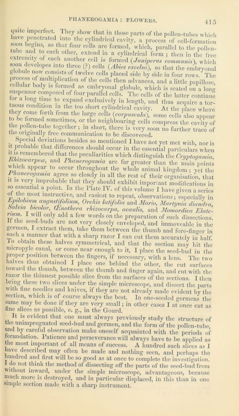 quite imperfect. 1 hey show that in those parts of the pollen-tubes which have penetrated into the cylindrical cavity, a process of cell-formation so that four cells are formed, which, parallel to the pollen- be and to each other, extend in a cylindrical form ; then in the free ex remity of each another cell is formed (Juniperus communis), which soon developes into three (?) cells (Abies excelsa), so that the embryonal g obule now consists of twelve cells placed side by side in four rows. ^ The piocess of multiplication of the cells then advances, and a little papillose, Z b0< y 18 form®d as embryonal globule, which is seated on a long for a W Ct?mp?ed °f fcT pai;allel Cells- The cells of the latter continue or a long time to expand exclusively in length, and thus acquire a tor- tuous condition in the too short cylindrical cavity. At the place where hey come forth from the large cells (corpuscula), some cells also appear 0 be formed sometimes, or the neighbouring cells compress the cavity of the pollen-tube together; m short, there is very soon no further trace of tue originally free communication to be discovered. Special deviations besides so mentioned I have not yet met with nor is it probable that differences should occur in the essential particulars when it is remembered that the peculiarities which distinguish the Cryptogamia, B/nzocarpece, and Phanerogamia are far greater than the main points which appear to occur throughout the whole animal kingdom ; yet the Phanerogamia agree so closely in all the rest of their organisation, that it is very improbable that they should exhibit important modifications in so essential a point. In the Plate IV. of this volume I have given a series °1 tlie most instructive, and easiest to repeat, observations; especially in Epilobmm ayustvfolium, Orchis latifolia and Mario, Martynia diandra, Salvia bicolor, (Enotliera rlnzocarpa, acaulis, and Momordica Elate- num. I will only add a few words on the preparation of such dissections. It the seed-buds are not very closely enveloped, and immoveable in the germen, I extract them, take them between the thumb and fore-fino-er in such a manner that with a sharp razor I can cut them accurately in half io obtain these halves symmetrical, and that the section may hit the micropyle canal, or come near enough to it, I place the seed-bud in the proper position between the fingers, if necessary, with a lens. The two halves thus obtained I place one behind the other, the cut surfaces toward the thumb, between the thumb and finger again, and cut with the razor the thinnest possible slice from the surfaces of the sections. I then bring these two slices under the simple microscope, and dissect the parts with fine needles and knives, if they are not already made evident by the section, which is of course always the best. In one-seeded germens the same may be done if they are very small; in other cases I at once cut as hne slices as possible, e. g., in the Gourd. It is evident that one must always previously study the structure of the unimpregnated seed-bud and germen, and the form of the pollen-tube and by careful observation make oneself acquainted with the periods of fecundation. Patience and perseverance will always have to be applied as the most important of all means of success. A hundred such slices as I have described may often be made and nothing seen, and perhaps the unit led and fust will be so good as at once to complete the investigation. 1 o not think the method of dissecting off the parts of the seed-bud from wit lout inward, under the simple microscope, advantageous, because much more is destroyed, and in particular displaced, in this than in one simple section made with a sharp instrument.