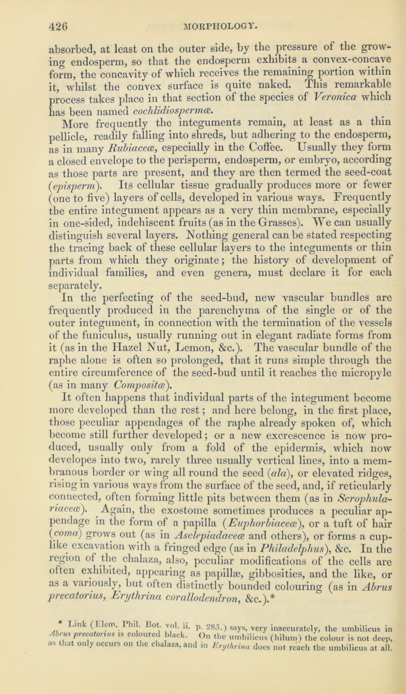 absorbed, at least on the outer side, by the pressure of the grow- ing endosperm, so that the endosperm exhibits a convex-concave form, the concavity of which receives the remaining portion within it, whilst the convex surface is quite naked. This remarkable process takes place in that section of the species of Veronica which has been named cochlidiospermcc. More frequently the integuments remain, at least as a thin pellicle, readily falling into shreds, but adhering to the endosperm, as in many Rubiacece, especially in the Coffee. Usually they form a closed envelope to the perisperm, endosperm, or embryo, according as those parts are present, and they are then termed the seed-coat (episperm). Its cellular tissue gradually produces more or fewer (one to five) layers of cells, developed in various ways. Frequently the entire integument appears as a very thin membrane, especially in one-sided, indchiscent fruits (as in the Grasses). We can usually distinguish several layers. Nothing general can be stated respecting the tracing back of these cellular layers to the integuments or thin parts from which they originate; the history of development of individual families, and even genera, must declare it for each separately. In the perfecting of the seed-bud, new vascular bundles are frequently produced in the parenchyma of the single or of the outer integument, in connection with the termination of the vessels of the funiculus, usually running out in elegant radiate forms from it (as in the Hazel Nut, Lemon, &c.). The vascular bundle of the raphe alone is often so prolonged, that it runs simple through the entire circumference of the seed-bud until it reaches the micropyle (as in many Composites). It often happens that individual parts of the integument become more developed than the rest; and here belong, in the first place, those peculiar appendages of the raphe already spoken of, which become still further developed; or a new excrescence is now pro- duced, usually only from a fold of the epidermis, which now developes into two, rarely three usually vertical lines, into a mem- branous border or wing all round the seed (ala), or elevated ridges, rising in various ways from the surface of the seed, and, if reticularly connected, often forming little pits between them (as in Scrophula- riacece). Again, the exostome sometimes produces a peculiar ap- pendage in the form of a papilla (Euphorbiaceee), or a tuft of hair {coma) grows out (as in Asclepiadaceec and others), or forms a cup- like excavation with a fringed edge (as in Philadelplius), &c. In the region of the chalaza, also, peculiar modifications of the cells are often exhibited, appearing as papilla?, gibbosities, and the like, or as a variously, but often distinctly bounded colouring ( as in Abrus precatonus, Erythrina corallodendron, &c.).* Link (Idem. Phil. I$ot. vol . ii. p. 285.) says, very inaccurately, the umbilicus in Abrm precatonus .s coloured black. On the umbilicus (hilum) the colour is not deep, as that only occurs on the chalaza, and in Erythrina does not reach the umbilicus at all.
