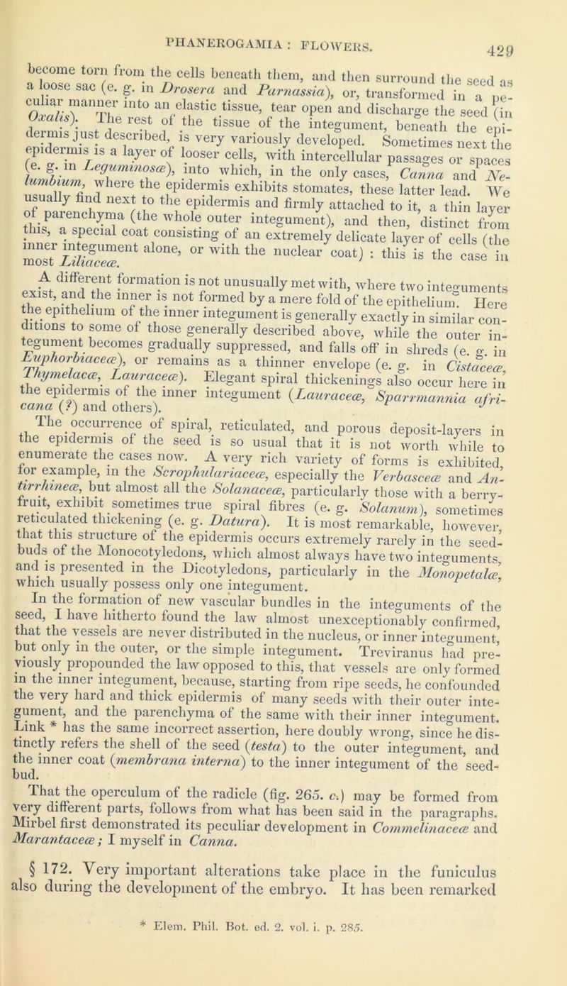 become torn from the cells beneath them, and then surround the seed as ‘ ose sac (e. g. in Drosera and Parnassia), or, transformed in a nc- culiar manner into an elastic tissue, tear open and discharge the seed (in amhs). lhe rest of the tissue of the integument, beneath the epi- deimis Just described is very variously developed. Sometimes next the epidermis is a layer of looser cells, with intercellular passages or spaces (e. g. in Leguminosce), into which, in the only cases, Canna and Ne- l!Tbu mA Yhere the fPldermis exhibits stomates, these latter lead. We usually find next to the epidermis and firmly attached to it, a thin layer of parenchyma (the whole outer integument), and then, ’distinct fVoin this, a. special coat consisting of an extremely delicate layer of cells (the ZsTS” ™e’ °r With ‘he nucl‘) ‘ is the die1 to A different formation is not unusually met with, where two integuments exist, and the inner is not formed by a mere fold of the epithelium! Here the epithelium of the inner integument is generally exactly in similar con- ditions to some of those generally described above, while the outer in- tegument becomes gradually suppressed, and falls off in shreds (e. - in Euphorbiacea■), or remains as a thinner envelope (e. g. in Cistacea? TJiymelacce, Lauracece). Elegant spiral thickenings also occur here in the epidermis of the inner integument {Lauracece, Sparrmannia afri- cana (/) and others). J I he occurrence of spiral, reticulated, and porous deposit-layers in the epidermis of the seed is so usual that it is not worth while to enumerate the eases now. A very rich variety of forms is exhibited for example, m the Scrophulariacece, especially the Verbascece and An’ tirrhinece, but almost all the Solanacece, particularly those with a berry- fruit, exhibit sometimes true spiral fibres (e. g. Solatium), sometimes reticulated thickening (e. g. Datura). It is most remarkable, however that this structure of the epidermis occurs extremely rarely in the seed- buds of the Monocotyledons, which almost always have two integuments and is presented in the Dicotyledons, particularly in the Monopetalce which usually possess only one integument. In the formation of new vascular bundles in the integuments of the seed, I have hitherto found the law almost unexceptionably confirmed that the vessels are never distributed in the nucleus, or inner integument’ but only in the outer, or the simple integument. Treviranus had pre- viously propounded the law opposed to this, that vessels are only formed in the inner integument, because, starting from ripe seeds, he confounded the very hard and thick epidermis of many seeds Avith their outer inte- gument, and the parenchyma of the same with their inner integument. Link has the same incorrect assertion, here doubly wrong, since he dis- tinctly refers the shell of the seed {testa) to the outer integument, and the inner coat (membrana interna) to the inner integument of the ’seed- bud. I hat the operculum of the radicle (fig. 265. c.) may be formed from very diffeient parts, follows from what has been said in the paragraphs. Milbel first demonstrated its peculiar development in Commelinacece and Marantacece; I myself in Canna. § 172. Very important alterations take place in tlie funiculus also during the development of the embryo. It has been remarked * Elem. Phil. Bot. ed. 2. vol. i. p. 285.