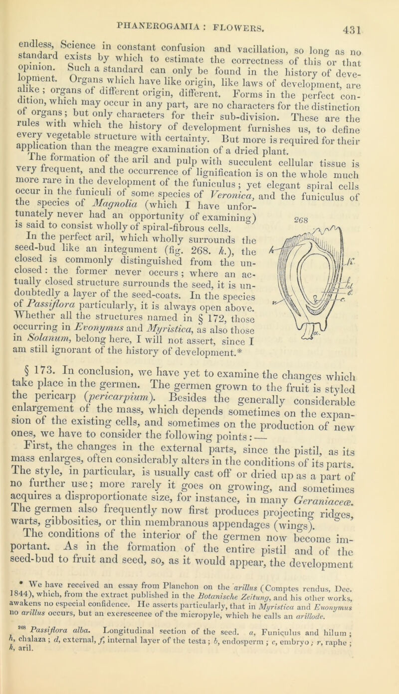 ldl ss-&cience,in constant confusion and vacillation, so long as no standard exists by which to estimate the correctness of this or that opinion. Such a standard can only be found in the history of deve- <Ten ' cgi'ns which have like origin, like laws of development, are alike , organs ot different origin, different. Forms in the perfect con- dition, which may occur in any part, are no characters for the distinction r dp«rS?ntV *?• .characters for their sub-division. These are the rules with which the history of development furnishes us, to define veiy vegetable structure with certainty. But more is required for their application than the meagre examination of a dried plant. The formation of the aril and pulp with succulent cellular tissue is veiy frequent and the occurrence of lignification is on the whole much ore rare m the development of the funiculus; yet elegant spiral cells occur in the funiculi of some species of Veronica, and the funiculus of the species of Magnolia (which I have unfor- tunately never had an opportunity of examining) is said to consist wholly of spiral-fibrous cells. In the perfect aril, which wholly surrounds the seed-bud like an integument (fig. 268. k.), the closed is commonly distinguished from the un- closed: the former never occurs; where an ac- tually closed structure surrounds the seed, it is un- doubtedly a layer of the seed-coats. In the species of'Passijiora particularly, it is always open above. Whether all the structures named in § 172, those occurring in Evonymus and Myristica, as also those in Solanum, belong here, I will not assert, since I am still ignorant of the history of development/* § 173. In conclusion, we have yet to examine the changes which take place in the germen. The germen grown to the fruit is styled the pericarp (pencarpium). Besides the generally considerable enlargement of the mass, which depends sometimes on the expan- sion ot the existing cells, and sometimes on the production of new ones, we have to consider the following points: First, the changes in the external parts, since the pistil, as its mass enlaiges, often considerably alters in the conditions of its parts 1 he style, in particular, is usually cast off or dried up as a part of no further use; more rarely it goes on growing, and sometimes acquires a disproportionate size, for instance, in many Gcraniacea The germen also frequently now first produces projecting ridges* warts, gibbosities, or thin membranous appendages (wino-s*) The conditions of the interior of the germen now become im- portant. As in the formation of the entire pistil and of the seed-bud to fruit and seed, so, as it would appear, the development 1Q,^ \ u0/eCel?d an CSSay fr,°m P,anchon on the arillus (Comptes rcndus, Dec. 1844), which, from the extract published in the Botanische Zeituvg, and his other works, awakens no especial confidence. He asserts particularly, that in Myristica and Euonymus no arillus occurs, but an excrescence of the micropyle, which he calls an arillode. Passijiora alba. Longitudinal section of the seed, a. Funiculus and hilum ; [’ chalaza ; d, external, f internal layer of the testa; b, endosperm ; c, embryo; r, raphe • «, aril. ’