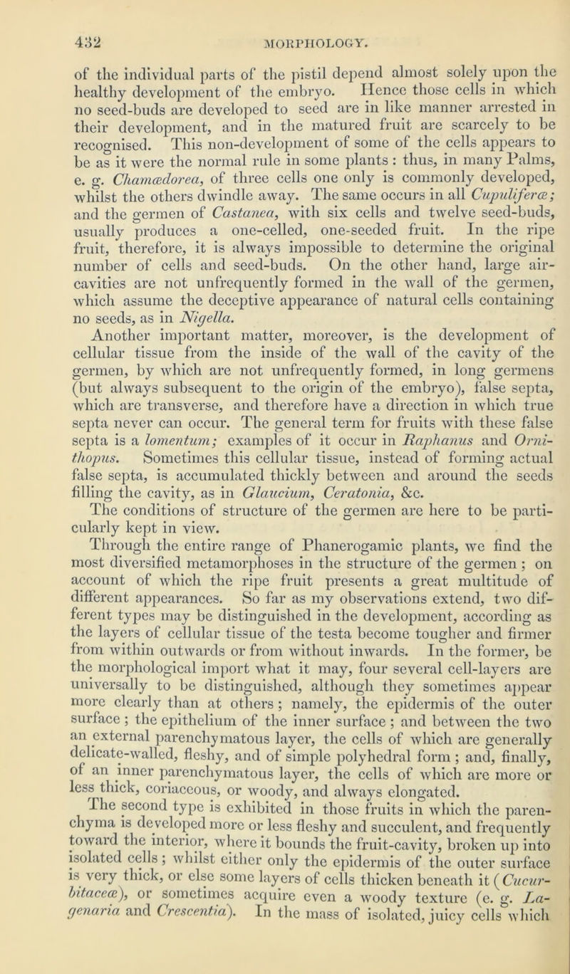 of the individual parts of the pistil depend almost solely upon the healthy development of the embryo. Hence those cells in which no seed-buds are developed to seed are in like manner arrested in their development, and in the matured fruit are scarcely to be recognised. This non-development of some of the cells appears to be as it were the normal rule in some plants : thus, in many Palms, e. g. Chamceclorea, of three cells one only is commonly developed, whilst the others dwindle away. The same occurs in all Cupuliferce ; and the germen of Castaneci, with six cells and twelve seed-buds, usually produces a one-celled, one-seeded fruit. In the ripe fruit, therefore, it is always impossible to determine the original number of cells and seed-buds. On the other hand, large air- cavities are not unfrequently formed in the wall of the germen, which assume the deceptive appearance of natural cells containing no seeds, as in Nigella. Another important matter, moreover, is the development of cellular tissue from the inside of the wall of the cavity of the germen, by which are not unfrequently formed, in long germens (but always subsequent to the origin of the embryo), false septa, which are transverse, and therefore have a direction in which true septa never can occur. The general term for fruits with these false septa is a lomentum; examples of it occur in Raplianus and Orni- tliopus. Sometimes this cellular tissue, instead of forming actual false septa, is accumulated thickly between and around the seeds filling the cavity, as in Glancium, Ceratonia, &c. The conditions of structure of the germen are here to be parti- cularly kept in view. Through the entire range of Phanerogamic plants, we find the most diversified metamorphoses in the structure of the germen ; on account of which the ripe fruit presents a great multitude of different appearances. So far as my observations extend, two dif- ferent types may be distinguished in the development, according as the layers of cellular tissue of the testa become tougher and firmer from within outwards or from without inwards. In the former, be the morphological import what it may, four several cell-layers are universally to be distinguished, although they sometimes appear more clearly than at others ; namely, the epidermis of the outer surface ; the epithelium of the inner surface ; and between the two an external parenchymatous layer, the cells of which are generally delicate-walled, fleshy, and of simple polyhedral form ; and, finally, of an inner parenchymatous layer, the cells of which are more or less thick, coriaceous, or woody, and always elongated. I he second type is exhibited in those fruits in which the paren- chyma is de veloped more or less fleshy and succulent, and frequently toward the interior, where it bounds the fruit-cavity, broken up into isolated cells; whilst either only the epidermis of the outer surface is very thick, or else some layers of cells thicken beneath it ( Cucur- lntacece), oi sometimes acquire even a woody texture (e. g. Ra- genaria and Crescentia). In the mass of isolated, juicy cells which