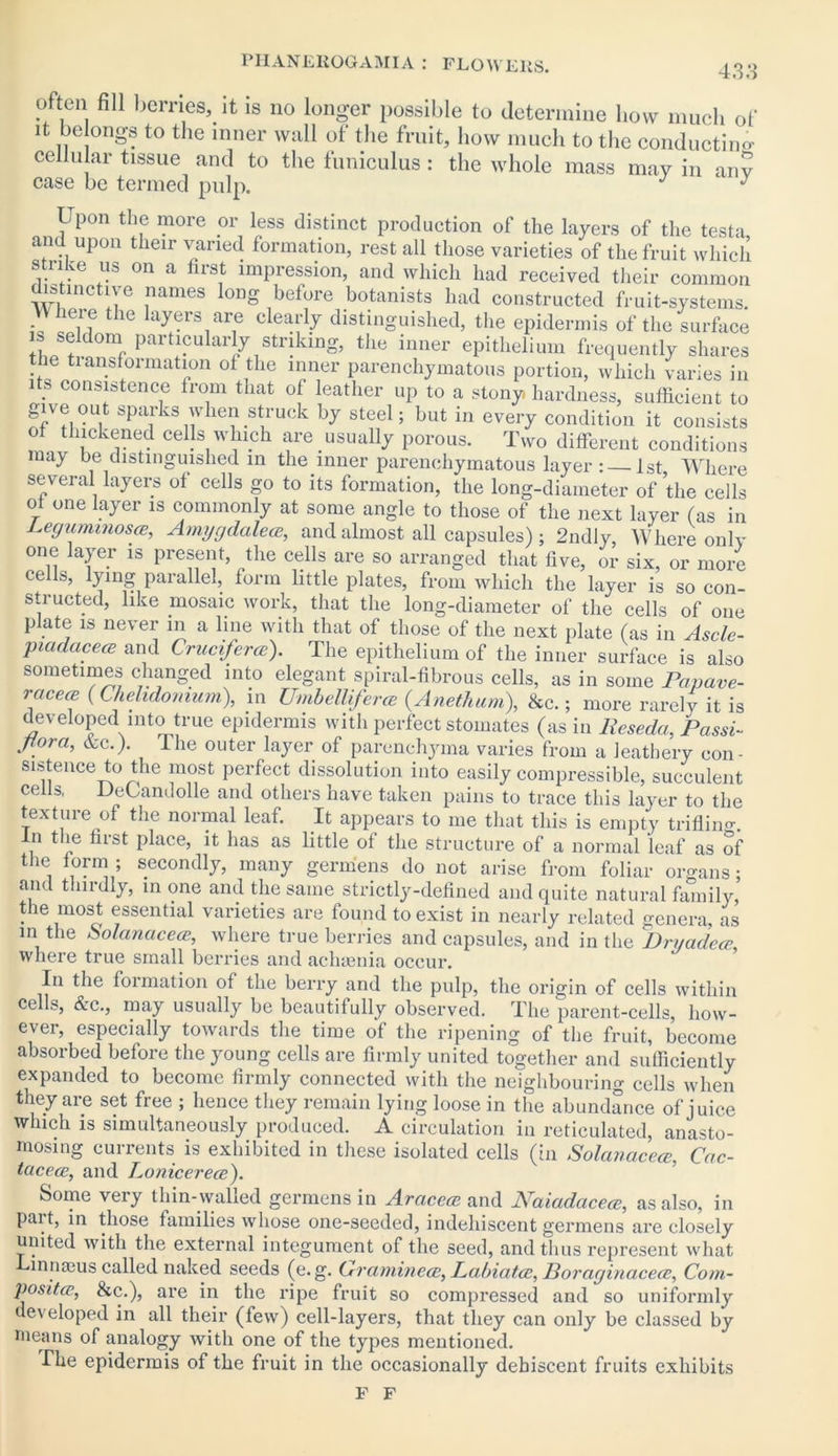 often fill berries, it is no longer possible to determine bow much of it be ongs to the inner wall of the fruit, how much to the conducting cellular tissue and to the funiculus : the whole mass may in any case be termed pulp. J J Lpon the more or less distinct production of the layers of the testa and upon their varied formation, rest all those varieties of the fruit which strike us on a first impression, and which had received their common distinctive names long before botanists had constructed fruit-systems. Where the layers are clearly distinguished, the epidermis of the surface S seldom particularly striking, the inner epithelium frequently shares the tiansformation of the inner parenchymatous portion, which varies in its consistence from that of leather up to a stony hardness, sufficient to give out sparks when struck by steel; but in every condition it consists of thickened cells winch are usually porous. Two different conditions may be distinguished in the inner parenchymatous layer : — 1st Where several layers of cells go to its formation, the long-diameter of the cells of one layer is commonly at some angle to those of the next layer (as in Lecjicminosce, Amygdalece, and almost all capsules); 2ndly, Where only one layer is present the cells are so arranged that five, or six, or more cells, lying parallel, form little plates, from which the layer is so con- structed, like mosaic work, that the long-diameter of the cells of one plate is never in a line with that of those of the next plate (as in Ascle- 'picidacece and Crucifercc). The epithelium of the inner surface is also sometimes changed into elegant spiral-fibrous cells, as in some Papave- rctcece ( Chehdomum), in Umbelliferce (Anethum), &c.; more rarely it is developed into true epidermis with perfect stomates (as in Reseda, Passi- ji°ra, &c.). I he outer layer of parenchyma varies from a leathery con- sistence to the most perfect dissolution into easily compressible, succulent cells, DeCandolle and others have taken pains to trace this layer to the texture of the normal leaf. It appears to me that this is empty trifling. In the first place, it has as little of the structure of a normal leaf as of the f orm ; secondly, many germens do not arise from foliar organs ; and thirdly, in one and the same strictly-defined and quite natural family, the most essential varieties are found to exist in nearly related genera, as in the Solanacece, where true berries and capsules, and in the Dryadece, where true small berries and acluenia occur. In the foimation of the berry and the pulp, the origin of cells within cells, &c., may usually be beautifully observed. The parent-cells, how- ever, especially towards the time of the ripening of the fruit, become absorbed before the young cells are firmly united together and sufficiently expanded to become firmly connected with the neighbouring cells when they are set free ; hence they remain lying loose in the abundance of juice which is simultaneously produced. A circulation in reticulated, anasto- mosing currents is exhibited in these isolated cells (in Solanacece. Cac- tcicece, and Lonicerece). Some very thin-walled germens in Aracece and Naiadacece, as also, in part, in those families whose one-seeded, indehiscent germens are closely united with the external integument of the seed, and thus represent what innams called naked seeds (e.g. Crraniinece, Pabiatce, Boraginacece, Com- positce, &c.), are in the ripe fruit so compressed and so uniformly developed in all their (few) cell-layers, that they can only be classed by means of analogy with one of the types mentioned. The epidermis of the fruit in the occasionally dehiscent fruits exhibits F F