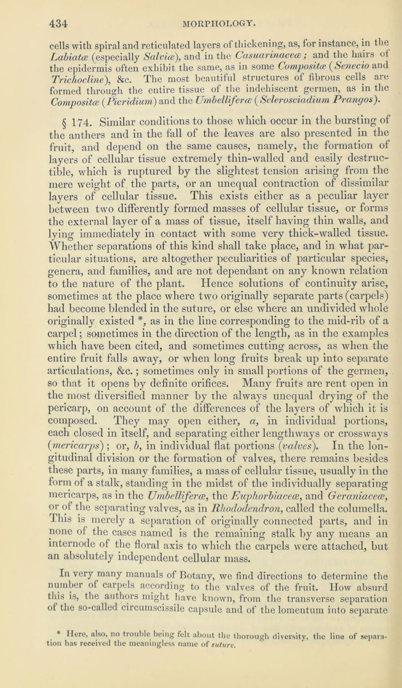 cells with spiral and reticulated layers of thickening, as, lor instance, in the Labiates (especially Salvice), and in the Casuarinacees ; and the hairs ot the epidermis often exhibit the same, as in some Composites (Senecio and Trichocline), &c. The most beautiful structures of fibrous cells are formed through the entire tissue of the indehiscent germen, as in the Composites (Picridium) and the Umbelliferce (Sclerosciadium Prangos). § 174. Similar conditions to those which occur in the bursting of the anthers and in the fall of the leaves are also presented in the fruit, and depend on the same causes, namely, the formation of layers of cellular tissue extremely thin-walled and easily destruc- tible, which is ruptured by the slightest tension arising from the mere weight of the parts, or an unequal contraction of dissimilar layers of cellular tissue. This exists either as a peculiar layer between two differently formed masses of cellular tissue, or forms the external layer of a mass of tissue, itself having thin walls, and lying immediately in contact with some very thick-walled tissue. Whether separations of this kind shall take place, and in what par- ticular situations, are altogether peculiarities of particular species, genera, and families, and are not dependant on any known relation to the nature of the plant. Hence solutions of continuity arise, sometimes at the place where two originally separate parts (carpels) had become blended in the suture, or else where an undivided whole originally existed *, as in the line corresponding to the mid-rib of a carpel; sometimes in the direction of the length, as in the examples which have been cited, and sometimes cutting across, as when the entire fruit falls away, or when long fruits break up into separate articulations, &c.; sometimes only in small portions of the germen, so that it opens by definite orifices. Many fruits are rent open in the most diversified manner by the always unequal drying of the pericarp, on account of the differences of the layers of which it is composed. They may open either, a, in individual portions, each closed in itself, and separating either lengthways or crossways (mericarps); or, b, in individual flat portions (valves). In the lon- gitudinal division or the formation of valves, there remains besides these parts, in many families, a mass of cellular tissue, usually in the form of a stalk, standing in the midst of the individually separating mericarps, as in the Umbelliferce, the Euphorbiaceee, and Geraniacece, or of the separating valves, as in Rhododendron, called the columella, bins is merely a separation of originally connected parts, and in none of the cases named is the remaining stalk by any means an internode of the floral axis to which the carpels were attached, but an absolutely independent cellular mass. In very many manuals of Botany, we find directions to determine the number of carpels according to the valves of the fruit. IIow absurd this is, the authors might have known, from the transverse separation ot the so-called circumscissile capsule and of the lomentum into separate * Here, also, no trouble being felt about the thorough diversity, the line of separa- tion has received the meaningless name of suture.
