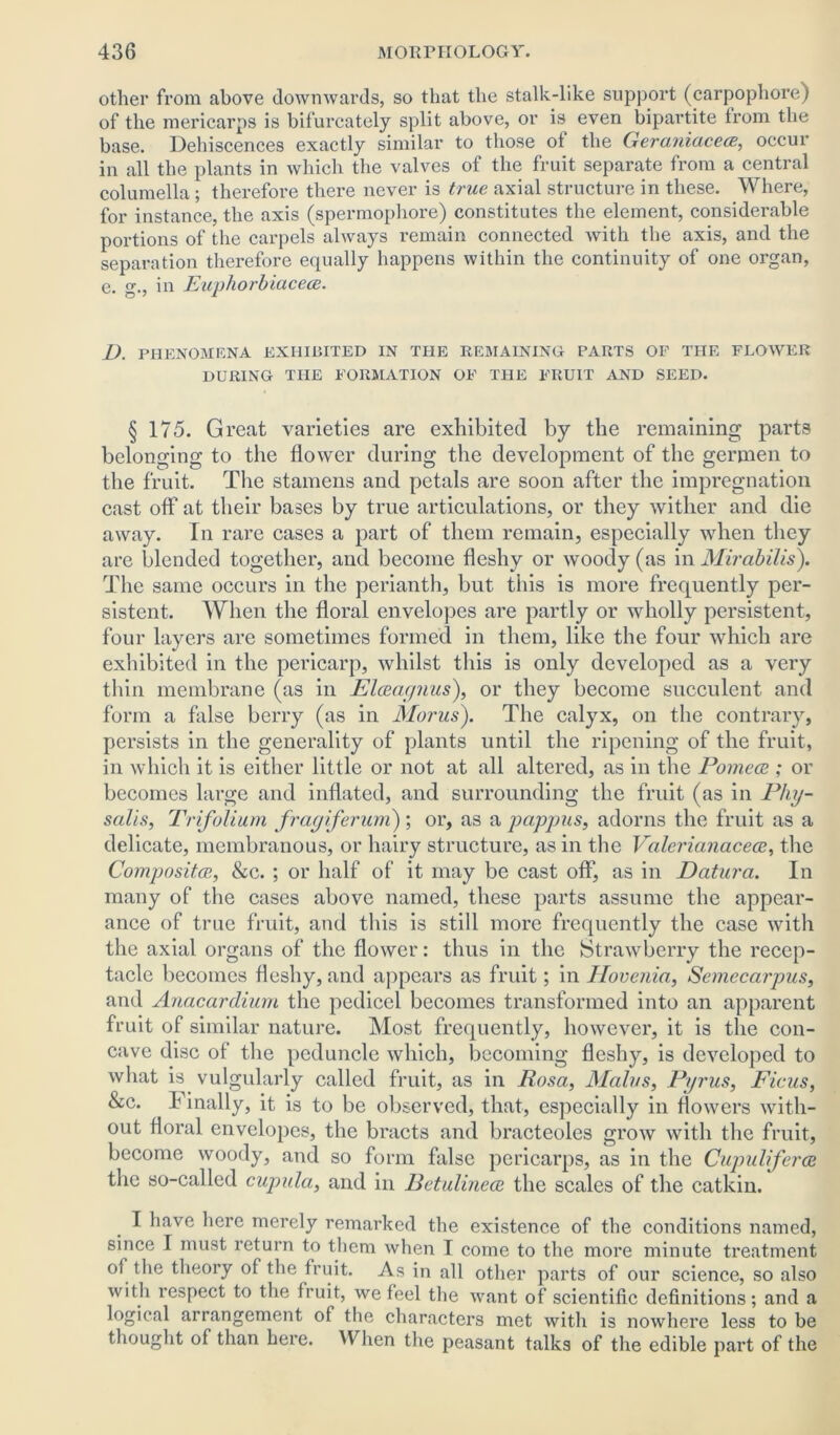 other from above downwards, so that the stalk-like support (carpophore) of the mericarps is bifurcately split above, or is even bipartite from the base. Dehiscences exactly similar to those of the Geraniacea, occur in all the plants in which the valves of the fruit separate from a central columella; therefore there never is true axial structure in these. Where, for instance, the axis (spermophore) constitutes the element, considerable portions of the carpels always remain connected with the axis, and the separation therefore equally happens within the continuity of one organ, e. g., in Euphorbiacece. D. PHENOMENA EXI1IDITED IN THE REMAINING PARTS OF THE FLOWER DURING THE FORMATION OF THE FRUIT AND SEED. § 175. Great varieties are exhibited by the remaining parts belonging to the flower during the development of the germen to the fruit. The stamens and petals are soon after the impregnation cast off at their bases by true articulations, or they wither and die away. In rare cases a part of them remain, especially when they are blended together, and become fleshy or woody (as in Mirabilis). The same occurs in the perianth, but this is more frequently per- sistent. When the floral envelopes are partly or wholly persistent, four layers are sometimes formed in them, like the four which are exhibited in the pericarp, Avhilst this is only developed as a very thin membrane (as in Elccagnus), or they become succulent and form a false berry (as in Morus). The calyx, on the contrary, persists in the generality of plants until the ripening of the fruit, in which it is either little or not at all altered, as in the Pomecs ; or becomes large and inflated, and surrounding the fruit (as in Phy- salis, Trifolium fragiferum); or, as a pappus, adorns the fruit as a delicate, membranous, or hairy structure, as in the Valerianaceos, the Composites, &c. ; or half of it may be cast off, as in Datura. In many of the cases above named, these parts assume the appear- ance of true fruit, and this is still more frequently the case with the axial organs of the flower: thus in the Strawberry the recep- tacle becomes fleshy, and appears as fruit; in Hovenia, Semecarpus, and Anacardium the pedicel becomes transformed into an apparent fruit of similar nature. Most frequently, however, it is the con- cave disc of the peduncle which, becoming fleshy, is developed to what is vulgularly called fruit, as in Rosa, Mains, Pyrus, Ficus, &c. I inally, it is to be observed, that, especially in flowers with- out floral envelopes, the bracts and bracteoles grow with the fruit, become woody, and so form false pericarps, as in the Cupuliferce the so-called cupula, and in Betulineee the scales of the catkin. I have here merely remarked the existence of the conditions named, since I must return to them when I come to the more minute treatment of the theory of the fruit. As in all other parts of our science, so also with respect to the fruit, we feel the want of scientific definitions; and a logical arrangement of the characters met with is nowhere less to be thought of than here. When the peasant talks of the edible part of the