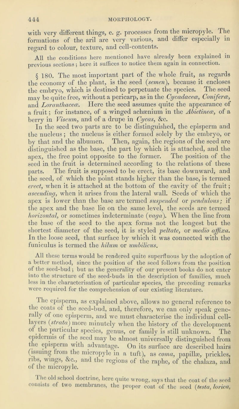 with very different things, e. g. processes from the micropyle. The formations of the aril are very various, and differ especially in regard to colour, texture, and cell-contents. All the conditions here mentioned have already been explained in previous sections; here it suffices to notice them again in connection. § 180. The most important part of the whole fruit, as regards the economy of the plant, is the seed {semen), because it encloses the embryo, which is destined to perpetuate the species. The seed may be quite free, without a pericarp, as in the Cycadacece, Coniferce, and Loranthacece. Here the seed assumes quite the appearance of a fruit; for instance, of a winged achaenium in the Abietinece, of a berry in Viscum, and of a drupe in Cycas, &c. In the seed two parts are to be distinguished, the episperm and the nucleus; the nucleus is either formed solely by the embryo, or by that and the albumen. Then, again, the regions of the seed are distinguished as the base, the part by which it is attached, and the apex, the free point opposite to the former. The position of the seed in the fruit is determined according to the relations of these parts. The fruit is supposed to be erect, its base downward, and the seed, of which the point stands higher than the base, is termed erect, when it is attached at the bottom of the cavity of the fruit; ascendiny, when it arises from the lateral wall. Seeds of which the apex is lower than the base are termed suspended or pendulous; if the apex and the base lie on the same level, the seeds are termed horizonted, or sometimes indeterminate (vaya). When the line from the base of the seed to the apex forms not the longest but the shortest diameter of the seed, it is styled peltate, or medio affixa. In the loose seed, that surface by which it was connected with the funiculus is termed the hilum or umbilicus. All these terms would be rendered quite superfluous by the adoption of a better method, since the position of the seed follows from the position of the seed-bud; but as the generality of our present books do not enter into the structure of the seed-buds in the description of families, much less in the characterisation of particular species, the preceding remarks were required for the comprehension of our existing literature. The episperm, as explained above, allows no general reference to the coats ol the seed-bud, and, therefore, we can only speak gene- rally of one episperm, and we must characterise the individual cell- layers (strata) more minutely when the history of the development of the particular species, genus, or family is still unknown. The epidermis of the seed may be almost universally distinguished from the episperm with advantage. On its surface are described hairs (issuing from the micropyle in a tuft), as coma, papillae, prickles, i lbs, wings, &c., and the regions of the raphe, of the chalaza, arid of the micropyle. 1 he old school doctrine, here quite wrong, says that the coat of the seed ■ onsists of two membranes, the proper coat of the seed {testa, lorica,