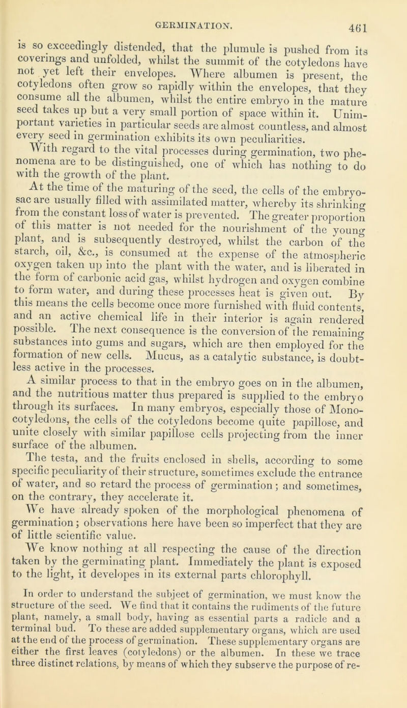 is so exceedingly distended, that the plumule is pushed from its coverings and unfolded, whilst the summit of the cotyledons have not yet left their envelopes. Where albumen is present, the cotyledons often grow so rapidly within the envelopes, that they consume all the albumen, whilst the entire embryo in the mature seed takes up but a very small portion of space within it. Unim- portant varieties in particular seeds are almost countless, and almost every seed in germination exhibits its own peculiarities. With regard to the vital processes during germination, two phe- nomena are to be distinguished, one of which has nothing to do with the growth of the plant. At the time of the maturing of the seed, the cells of the embryo- sac are usually filled with assimilated matter, whereby its shrinking from the constant lossof water is prevented. The greater proportion of this matter is not needed for the nourishment of the youncr plant, and is subsequently destroyed, whilst the carbon of the starch, oil, &c., is consumed at the expense of the atmospheric taken up into the plant with the water, and is liberated in the form of carbonic acid gas, whilst hydrogen and oxygen combine to form water, and during these processes heat is given out. By this means the cells become once more furnished with fluid contents, and an active chemical life in their interior is again rendered possible. The next consequence is the conversion of the remaining substances into gums and sugars, which are then employed for the formation of new cells. Mucus, as a catalytic substance, is doubt- less active in the processes. A similar process to that in the embryo goes on in the albumen, and the nutritious matter thus prepared is supplied to the embryo through its surfaces. In many embryos, especially those of Mono- cotyledons, the cells of the cotyledons become quite papillose, and unite closely with similar papillose cells projecting from the inner surface of the albumen. The testa, and the fruits enclosed in shells, according to some specific peculiarity of their structure, sometimes exclude the entrance of water, and so retard the process of germination; and sometimes, on the contrary, they accelerate it. We have already spoken of the morphological phenomena of germination; observations here have been so imperfect that they are of little scientific value. We know nothing at all respecting the cause of the direction taken by the germinating plant. Immediately the plant is exposed to the light, it developes in its external parts chlorophyll. In order to understand the subject of germination, we must know the structure of the seed. We find that it contains the rudiments of the future plant, namely, a small body, having as essential parts a radicle and a terminal bud. rIo these are added supplementary organs, which are used at the end of the process of germination. These supplementary organs are either the first leaves (cotyledons) or the albumen. In these we trace three distinct relations, by means of which they subserve the purpose of re-