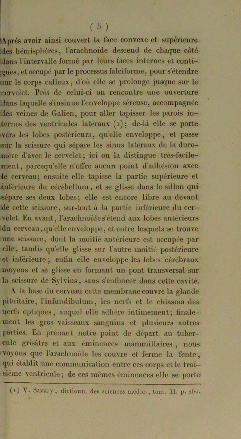 HVprès avoir ainsi couvert la face convexe et supérieure :les hémisphères, l’arachnoïde descend de chaque côté Jans l’intervalle formé par leurs faces internes et conti- jçues, et occupé par le processus falciforme, pour s’étendre ■aur le corps calleux, d’où elle se ])rolonge jusque sur le ■cervelet. Près de celui-ci ou rencontre une ouverture ilans laquelle s’insinue l’enveloppe séreuse, accompagnée lies veines de Galien, pour aller tapisser les parois in- ,(ternes des ventricules latéraux (i) j de-là elle se porte .vers les lobes postérieurs, quelle enveloppe, et passe •sur la scissure qui sépare Icæ sinus latéraux de la dure- mère d’avec le cervelet; ici on la distingue très-facile- iment, parcequ’elle n’ofl're aucun point d’adhésion avec le cerveau; ensuite elle tapisse la partie supérieure et inférieure du cèrébellum, et se glisse dans le sillon qui ■sépare ses deux lobes; elle est encore libre au devant !de cette scissure, sur-tout à la partie inférieure du cer- velet. Eu avant, l’arachnoïde s'étend aux lobes antérieurs du cerveau,quelle enveloppe, et entre lesquels se trouve une scis.sure, dont la moitié antérieure est occupée par elle, tandis qu’elle glisse .sur l’autre moitié postérieure et inféi’ieure ; enün elle eiiveloppe les lobes cérébraux moyens et se glisse en formant un pont transversal sur la .scissure de S3’lvius, sans s’enfoncer dans cette cavité. A la base du cerveau cette membrane couvre la glande ])ituitaire, l’infundibuluin, les nerfs et le chiasma des nerfs optiques, auquel elle adhère intimement; hnale- ment les gros vai.s.seaux sanguins et plusieurs autres parties. En prenant notre point de départ au tuber- cule grisâtre et aux éminences mammillaires , nous voyons que l’arachnoïde les couvre et ferme la fente, qui établit une communication entre ces corps et le troi- sième ventricule; de ces mêmes éminences elle se porte