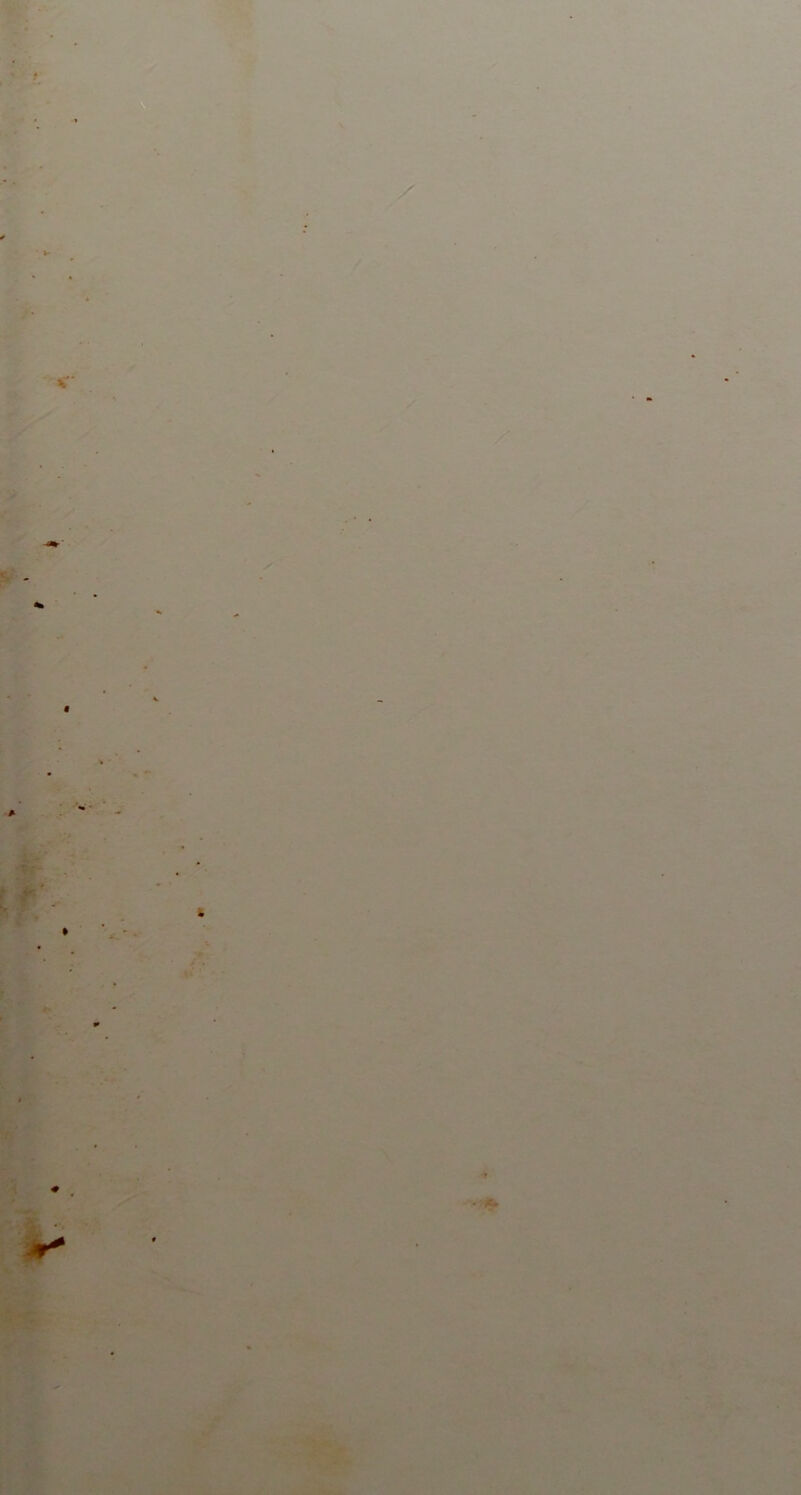 <T ■ » ** ' ♦ • : A