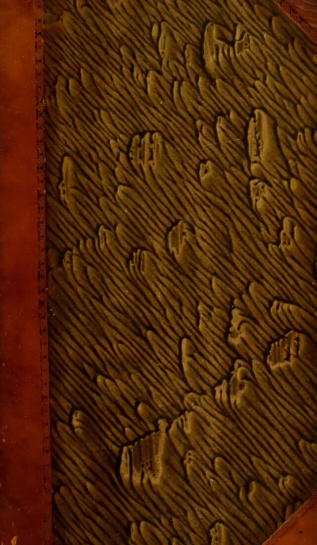 No text description is available for this image