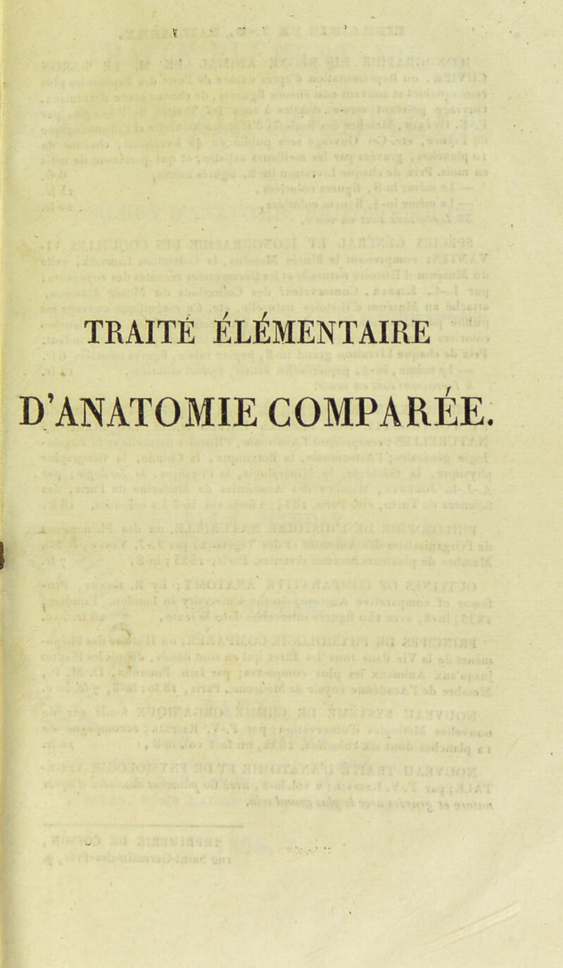 ï TRAITÉ ÉLÉMENTAIRE D’ANATOMIE COMPARÉE.