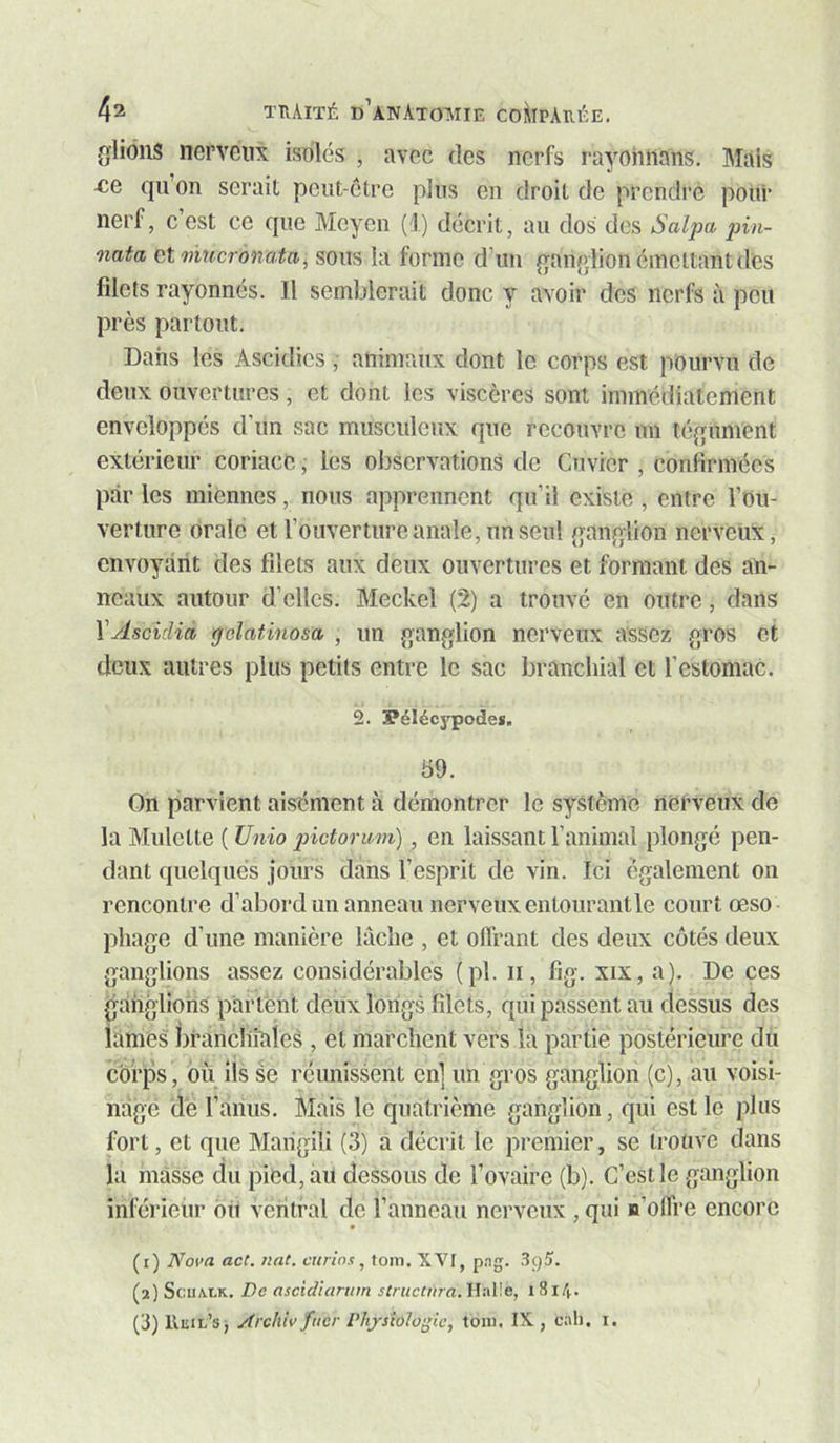 {fiions nerveux isolés , avec des nerfs rayohnans. Mais -ce qu’on serait pcut-ctre plus en droit de prendre pour nerf, c’est ce que Meycn (I) décrit, au dos des Salpa pin- nata etnincronata^ sous la forme d’un qanqiion émettant des filets rayonnés. Il semblerait donc y avoir des nerfs à peu près partout. Dans les Ascidies, animaux dont le corps est pourvu de deux ouvertures, et dont les viscères sont immédiatement enveloppés d’un sac musculeux que recouvre un téqument extérieur coriace, les observations de Cuvier , confirmées par les miennes, nous apprennent qu’il existe , entre l’Ou- verture orale et l’ouverture anale, un seul qanqlion nerveux, envoyant des filets aux deux ouvertures et formant des an- neaux autour d’elles. Meckel (2) a trouvé en outre, dans Vyiscicîid tjolatinosa , un {fanqiion nerveux assez {fros et deux autres plus petits entre le sac branchial et l’estomac. 2. Pélécypode*. 59. On parvient aisément à démontrer le système nerveux de la Mulette ( Unio pictorum), en laissant l’animal plongé pen- dant quelques jours dans l’esprit de vin. Ici également on rencontre d’abord un anneau nerveux entourant le court œso pliage d’une manière lâche , et olfrant des deux côtés deux ganglions assez considérables (pl. ii, fig. xix, a). De ces ganglions partent deux longs filets, guipassent au dessus des lames branchiales , et marchent vers la partie postérieure du corps, où ils se réunissent en] un .gros ganglion (c), au voisi- nage de l’anus. Mais le quatrième ganglion, qui est le plus fort, et que Marigiîi (3) a décrit le premier, se trouve dans kl masse du pied, au dessous de l’ovaire (b). C’est le ganglion inférieur où veiitral de l’anneau nerveux , qui n’olfre encore (t) Nom act. nat. curia s, toiii. XVI, p.Tg. .Sgî. (a) ScuA-LK. De ascidiarum structura. \h\V.e, 1814.