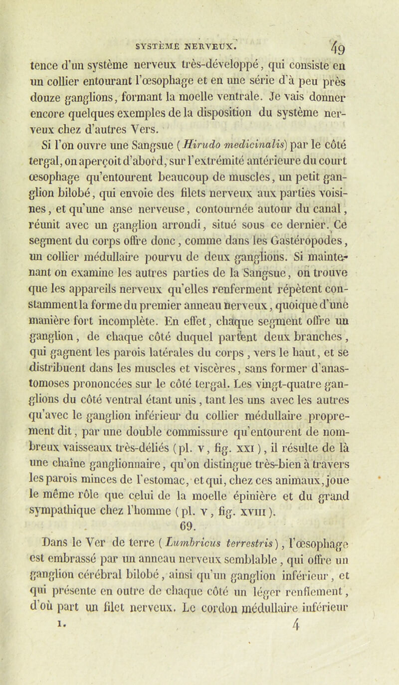 tence d’im système nerveux Irès-développé, cpii consiste en un collier entourant l’œsophage et en une série d’à peu près douze ganglions, formant la moelle ventrale. Je vais donner encore quelques exemples de la disposition du système ner- veux chez d’autres Vers, Si l’on ouvre une Sangsue ( Hirudo medicinalis) par le côté tergal, on aperçoit d’abord, sur l’extrémité antérieure du court œsophage qu’entourent beaucoup de muscles, un petit gan- glion bilobé, qui envoie des filets nerveux aux parties voisi- nes, et qu’une anse nerveuse, contournée autour du canal, réunit avec un ganglion arrondi, situé sous ce dernier. Ce segment du corps ofli’e donc, comme dans les Gastéropodes, un collier médullaire pourvu de deux ganglions. Si maintû- nant on examine les autres parties de la Sangsue, on trouve que les appareils nerveux qu’elles renferment répètent con- stamment la forme du premier amieau nerveux, quoique d’une manière fort incomplète. En effet, chaque segment offre un ganglion, de chaque côté duquel partfent deux branches, qui gagnent les parois latérales du corps , vers le haut, et se distribuent dans les muscles et viscères, sans former d’anas- tomoses j3rononcées sur le côté tergal. Les vingt-quatre gan- glions du côté ventral étant unis, tant les uns avec les autres qu’avec le ganglion inférieiu’ du collier médullaire propre- ment dit, par une double commissure qu’entourent de nom- breux vaisseaux très-déliés (pl. v, fig. xxi ), il résulte de là une chaîne ganglionnaire, qu’on distingue très-bien à travers les parois minces de l’estomac, et qui, chez ces animaux, joue le même rôle que celui de la moelle épinière et du grand sympathique chez l’homme ( pl. v, fig. xviii ). 69. Dans le Ver de terre {Lumbricus terrestris), l’œsophage est embrassé par un anneau nerveux semblable, qui offre un ganglion cérébral bilobé, ainsi qu’un ganglion inférieur, et qui présente en outre de chaque côté un léger renfiement, d’où part un filet nerveux. Le cordon médullaire inférieur 4 1.