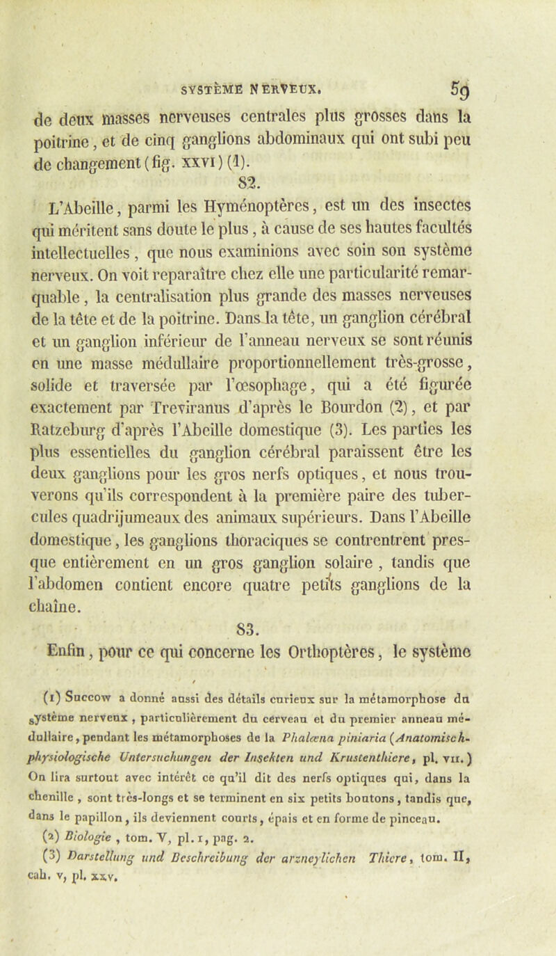 de deux masses nerveuses centrales plus {^rosses dans la poitrine, et de cinq ganglions abdominaux qui ont subi peu de changement (fig. xxvi) (i). 82. L’Abeille, parmi les Hyménoptères, est un des insectes qui méritent sans doute le plus, à cause de ses hautes facultés intellectuelles, que nous examinions avec soin son système nerveux. On voit reparaître chez elle une particularité remar- quable , la centralisation plus grande des masses nerveuses de la tête et de la poitrine. Dans la tête, un ganglion cérébral et un ganglion inférieur de l’anneau nerveux se sont réunis en une masse médullaire proportionnellement très-grosse, solide et traversée par l’œsophage, qui a été figurée exactement par Treviranus d’après le Bourdon (2), et par Ratzeburg d’après l’Abeille domestique (3). Les parties les plus essentielles du ganglion cérébral paraissent être les deux ganglions pour les gros nerfs optiques, et nous trou- verons qu’ils correspondent à la première paire des tuber- cules quadrijumeaux des animaux supérieurs. Dans l’Abeille domestique, les ganglions thoraciques se contrentrent pres- que entièrement en un gros ganglion solaire , tandis que l’abdomen contient encore quatre pet/ts ganglions de la chaîne. 83. Enfin, pour ce qui concerne les Orthoptères, le système (i) Snccow a donné anssi des détails cnrîenx sur la métamorphose da gystème nerveux , particulièrement du cerveau et du premier anneau mé- dullaire, pendant les métamorphoses de la Phalæna piniaria {Anatomisch- physioiogische Untcrsuchungen der Insekten und Krustenthiere, pl. vu. ) On lira surtout avec intérêt ce qu’il dit des nerfs optiques qui, dans la chenille , sont très-longs et se terminent en six petits boutons, tandis que, dans le papillon, ils deviennent courts, épais et en forme Je pinceau. (a) Biologie , tom. V, pl. r, pag. 2. (3) Tiarstcllimg und Deschrcibung dcr arzneylichen Thicre, tom. II, cah. v, pl. XXV.