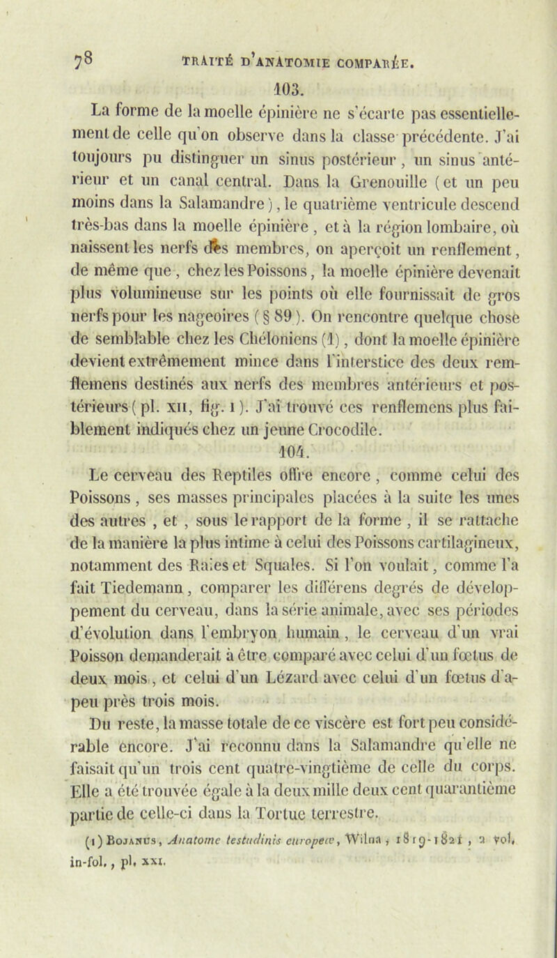 103. La forme de la moelle épinière ne s’écarte pas essentielle- ment de celle qii’on observe dans la classe précédente. .T’ai lonjoiirs pu distinguer un sinus postérieur, un sinus anté- rieur et un canal central. Dans la Grenouille (et un peu moins dans la Salamandre ), le quatrième ventricule descend très-bas dans la moelle épinière , et à la région lombaire, où naissent les nerfs d^s membres, on aperçoit un renflement, de même que , chez les Poissons, la moelle épinière devenait plus volumineuse sur les points où elle fournissait de gros nerfs pour les nageoires ( § 89 ). On rencontre quelque chose de semblable chez les Chéloniens (T), dont la moelle épinière devient extrêmement mince dans l’interstice des deux rem- fleinens destinés aux nerfs des membres antérieurs et pos- térieurs ( pl. XII, fig. I ). J’ai trouvé ces renflernens plus fai- blement indiqués chez un jeune Crocodile. 104. Le cerveau des Reptiles olfre encore, comme celui des Poissons , ses masses principales placées à la suite les unes des autres , et , sous le rapport de la forme , il se rattache de la manière la plus intime à celui des Poissons cartilagineux, notamment des Raies et Squales. Si l’on voulait, comme l’a fait Tiedemann, comparer les différens degrés de dévelop- pement du cerveau, dans la série animale, avec ses périodes d’évolution dans l’embryon humain, le cerveau d’un vrai Poisson demanderait à être comparé avec celui d’un fœtus de deux mois , et celui d’un Lézard avec celui d’un fœtus d’a- peu près trois mois. Du reste, la masse totale de ce viscère est fort peu considé- rable encore. J’ai reconnu dans la Salamandre qu’elle ne faisait qu’un trois cent quatre-vingtième de celle du corjis. Elle a été trouvée égale à la deux mille deux cent quarantième partie de celle-ci dans la Tortue terrestre. , Anatome testufUnk europeœ f'WAM i i8rcj-ie2i , 'j toti in-fol., pl, Axi.