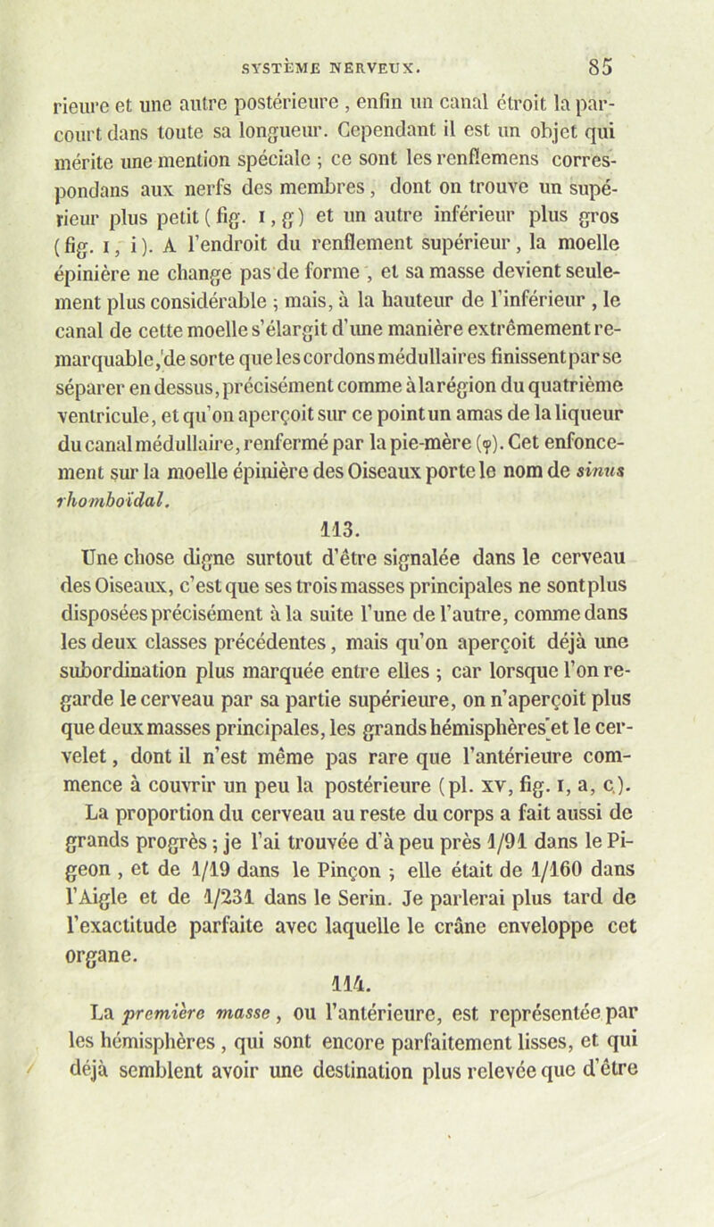 rieiire et une autre postérieure , enfin un canal étroit la par- court dans toute sa longueur. Cependant il est un objet qui mérite une mention spéciale ; ce sont les renfîemens corres- pondons aux nerfs des membres, dont on trouve un supé- rieur plus petit ( fig. I, g ) et un autre inférieur plus gros ( fig. I, i ). A l’endroit du renflement supérieur, la moelle épinière ne change pas de forme , et sa masse devient seule- ment plus considérable ; mais, à la hauteur de l’inférieur , le canal de cette moelle s’élargit d’ime manière extrêmement re- marquable,'de sorte que les cordons médullaires finissent par se séparer en dessus, précisément comme à la région du quatrième ventricule, et qu’on aperçoit sur ce point un amas de la liqueur du canal médullaire, renfermé par la pie-mère (?). Cet enfonce- ment sur la moelle épinière des Oiseaux porte le nom de smus rhomboïdal. 113. Une chose digne surtout d’être signalée dans le cerveau des Oiseaux, c’est que ses trois masses principales ne sontplus disposées précisément à la suite l’une de l’autre, comme dans les deux classes précédentes, mais qu’on aperçoit déjà une subordination plus marquée entre elles ; car lorsque l’on re- garde le cerveau par sa partie supérieime, on n’aperçoit plus que deux masses principales, les grands hémisphères'et le cer- velet , dont il n’est même pas rare que l’antérieure com- mence à couvrir un peu la postérieure (pl. xv, fig. i, a, c.). La proportion du cerveau au reste du corps a fait aussi de grands progrès ; je l’ai trouvée d’à peu près 1/91 dans le Pi- geon , et de 1/19 dans le Pinçon 5 elle était de 1/160 dans l’Aigle et de 1/231 dans le Serin. Je parlerai plus tard de l’exactitude parfaite avec laquelle le crâne enveloppe cet organe. 114. La première masse, OU l’antérieure, est représentée par les hémisphères, qui sont encore parfaitement lisses, et qui déjà semblent avoir une destination plus relevée que d’être