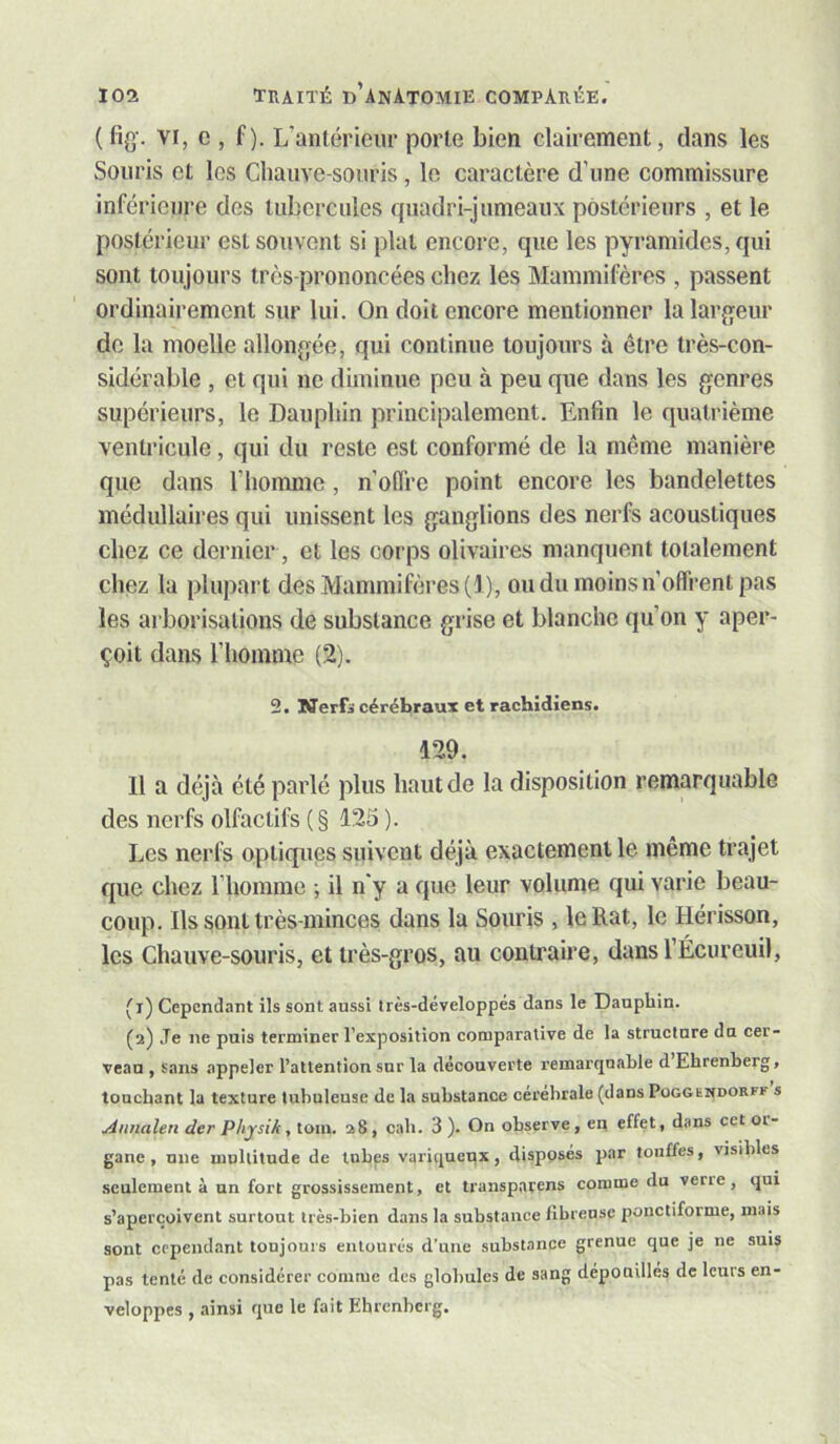 (fig-. VI, c , f). L’antérieur porte bien clairement, dans les Souris et les Cliaiive-sonris, le caractère d’une commissure inférieure des tubercules quadri-jumeaux postérieurs , et le postérieur est souvent si plat encore, que les pyramides, qui sont toujours très-prononcées chez les Mammifères , passent ordinairement sur lui. On doit encore mentionner la largeur de la moelle allongée, qui continue toujours à être très-con- sidérable , et qui ne diminue peu à peu que dans les genres supérieurs, le Dauphin principalement. Enfin le quatrième ventricule, qui du reste est conformé de la même manière que dans l’homme, n’ofli'e point encore les bandelettes médullaires qui unissent les ganglions des nerfs acoustiques chez ce dernier, et les corps olivaires manquent totalement chez la plupart des Mammifères (1), ou du moins n’offrent pas les arborisations de substance grise et blanche qu’on y aper- çoit dans l’homme (2). 2. Nerfi cérébraux et rachidiens. 129. 11 a déjà été parlé plus haut de la disposition remarquable des nerfs olfactifs ( § 125 ). Les nerfs optiques suivent déjà exactement le même trajet que chez l’homme ; il n'y a que leur volume qui varie beau- coup. Ils sont très-minces dans la Souris , le Rat, le Hérisson, les Chauve-souris, et très-gros, au contraire, dans l’Écureuil, (i) Cependant ils sont aussi très-développés dans le Dauphin. (a) .Te ne puis terminer l’exposition comparative de la structure du cer- veau , sans appeler l’attention sur la découverte remarquable d Ehrenberg, touchant la texture tubuleuse de la substance cérébrale (dansPoGGEWnoRFF s Annalen der Physik, tom. a8, cab. 3 ). On observe, en effet, dans cet or- gane , une multitude de tubes variqueux, disposés par touffes, visibles .seulement à un fort grossissement, et transparens comme du verie, qui s’aperçoivent surtout très-bien dans la substance fibreuse pouctiforme, mais sont cependant toujours entourés d’une substance grenue que je ne suis pas tenté de considérer comme des globules de sang dépouillés de leurs en- veloppes , ainsi que le fait ?.hrcnberg.