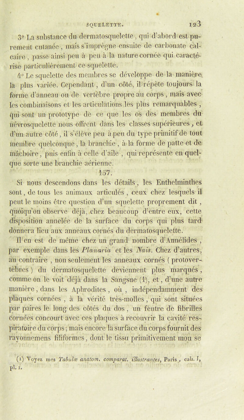3® La substance du dcrmatosquelette, qui d’abord est pu- rement cutanée, mais s’imprè^^ne ensuite de carbonate cal- caire , passe ainsi pou à peu à la nature cornée qui caracté- rise particulièrement ce squelette. 4“ Le squelette des membres se développe de la manière la plus variée. Cependant, d’un côté, il répète toujours la forme d’anneau ou de vertèbre propre a*u corps, mais avec les combinaisons et les articulations les plus remarquables , qui sont un prototype de ce que les os des membres du névrosquelette nous offrent dans les classes supérieures^ et d’un autre côté, il s’élève peu à peu du type primitif de tout membre quelconque, la branchie , à la forme de patte et de mâchoire, puis enfin à celle d’aile , qui représente en quel- que sorte une branchie aérienne, 157. Si nous descendons dans les détails, les Enthelmintlies sont, de tous les animaux articulés , ceux chez lesquels il peut le moins être question d’un squelette proprement dit, quoiqu’on observe déjà, chez beaucoup d’entre eux, cette disposition annelée de la surface dn corps qui plus tard donnera lieu aux anneaux cornés du dcrmatosquelette. Il en est de même chez un grand nombre d’Annélides , par exemple dans les Planaria et les Nais. Chez d’autres, au contraire , non seulement les anneaux cornés ( prolover- lèbres ) du dcrmatosquelette deviennent plus marqués, comme on le voit déjà dans la Sangsue (1), et, d’une autre manière, dans les Aphrodites, où , indépendamment des plaques cornées , à la vérité très-molles, qui sont situées par paires le long des côtés du dos, un feutre de fibrilles cornées concourt avec ces plaques à recouvrir la cavité res- piratoire du corps ; mais encore la surface du corps fournit des rayonnemcns filiformes, dont le tissu primitivement mou se (i) Voyez mes Tabulœ anatom, comparut, illustrantes, Paris , cab. I,