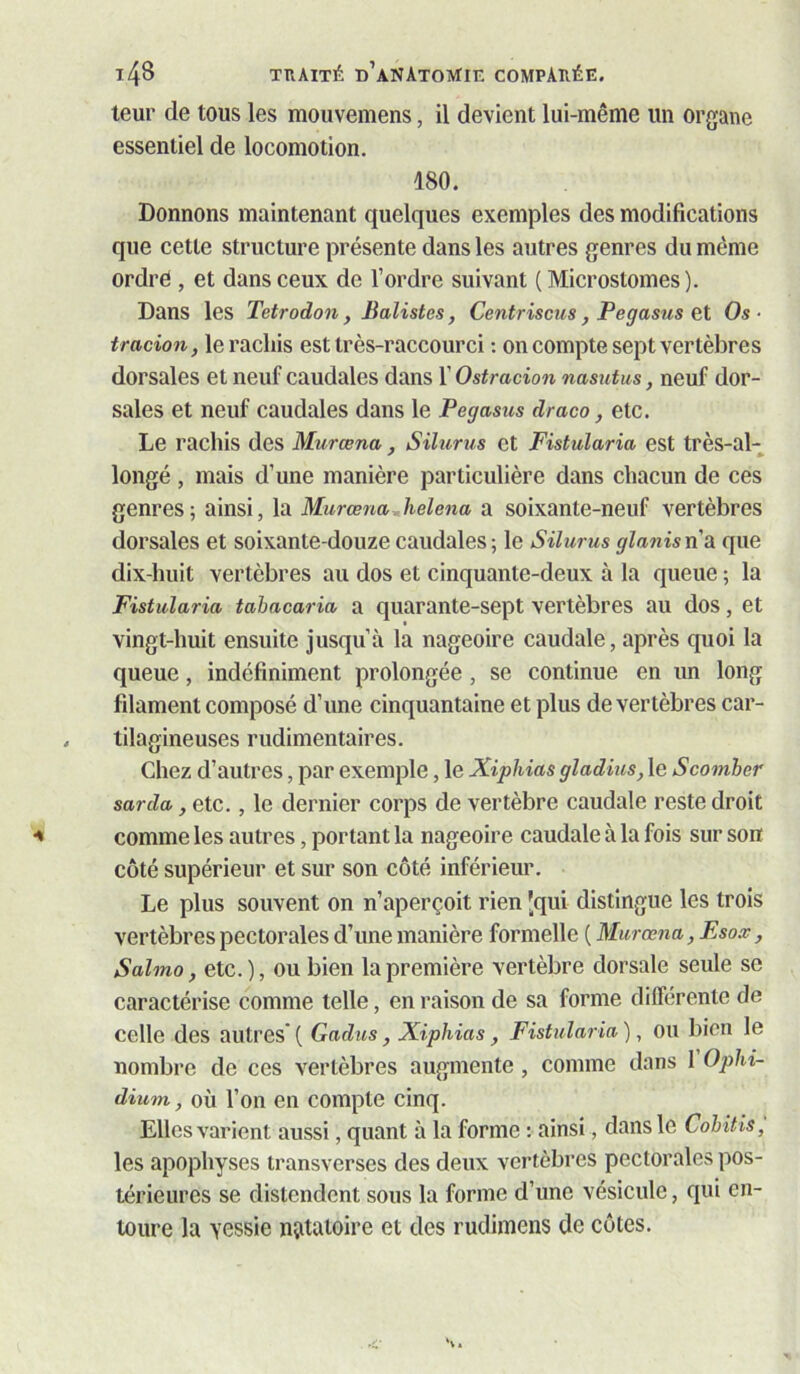 leur de tous les mouvemens, il devient lui-même un organe essentiel de locomotion. 180. Donnons maintenant quelques exemples des modifications que cette structure présente dans les autres genres du même ordrë , et dans ceux de l’ordre suivant ( Microstomes ). Dans les Tetrodon , Balistes, Centriscus, Pegasus et Os ■ tracion, le rachis est très-raccourci ; on compte sept vertèbres dorsales et neuf caudales dans l’Ostracion nasutus, neuf dor- sales et neuf caudales dans le Pegasus draeo, etc. Le rachis des Murœna, Sihirus et Fistularia est très-al- longé , mais d’une manière particulière dans chacun de ces genres; ainsi, la Murœna helena a soixante-neuf vertèbres dorsales et soixante-douze caudales; le Silurus glanisnâ que dix-huit vertèbres au dos et cinquante-deux à la queue ; la Fistularia tabacaria a quarante-sept vertèbres au dos, et vingt-huit ensuite jusqu’à la nageoire caudale, après quoi la queue, indéfiniment prolongée, se continue en un long filament composé d’une cinquantaine et plus de vertèbres car- tilagineuses rudimentaires. Chez d’autres, par exemple, le Xiphias gladius, le Scomher sarda, etc., le dernier corps de vertèbre caudale reste droit comme les autres, portant la nageoire caudale à la fois sur son côté supérieur et sur son côté inférieur. Le plus souvent on n’aperçoit rien [qui distingue les trois vertèbres pectorales d’une manière formelle ( Murœna, Esox, Salmo, etc.), ou bien la première vertèbre dorsale seule se caractérise comme telle, en raison de sa forme différente de celle des autres' ( Gadus, Xiphias, Fistularia ), ou bien le nombre de ces vertèbres augmente , comme dans 1 Ophi- dium, où l’on en compte cinq. Elles varient aussi, quant à la forme : ainsi, dans le Cohitis, les apophyses transverses des deux vertèbres pectorales pos- térieures se distendent sous la forme d’une vésicule, qui en- toure la yessie nçitatoire et des rudimens de côtes.