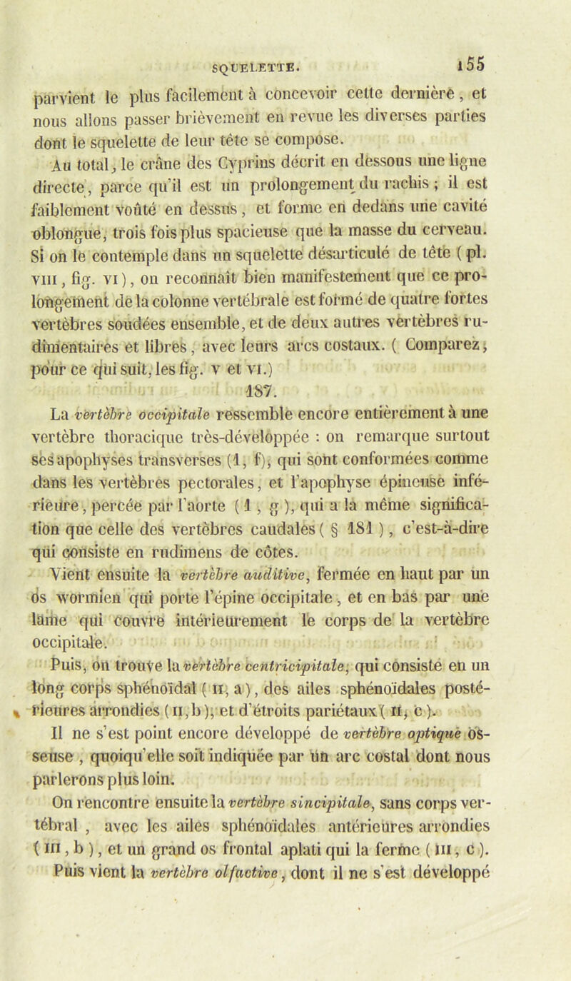 parvient le plus facilement à concevoir cette dernière , et nous allons passer brièvement en revue les diverses parties dont le squelette de leur tète se compose. Au total, le crâne des Cyprins décrit en dessous une ligne directe , parce qu’il est un prolongement du rachis ; il est faiblement voûté en dessus, et foimie en dedans une cavité nblongue, trois fois plus spacieuse que la masse du cerveau. Si on le contemple dans un squelette désai’ticulé de têtë ( pl. VIII, fig. VI ), on reconnaît bien manifestement que ce pro- lotigeinent delà colonne vertébrale est formé de quatre fortes vertèbres soudées ensemble, et de deux autres vertèbres ru- dinientaii-es et libres, avec leurs arcs costaux. ( Comparezj pour ce (^iii suit, les fig. v et vi.) 187. La vertèbre occipitale ressemble encore entièrement à une vertèbre thoracique très-développée : on remarque surtout ses apophyses transverses (1, f); qui sont conformées comme dans les vertèbres pectorales, et l’apophyse épineuse infé- rieure, percée par l’aorte ( 1, g ), qui a la même significa- tion que celle des vertèbres caudales ( § 181 ), c’est-à-dire qui consiste en rudimens de côtes. Vient ensuite la vertèbre atiditive, fermée en haut par un ds wormien qui porte l’épine occipitale, et en bas par une làme qui Couvée intérieurement le corps de la vertèbre occipitale. Puis, on trouve Xixvèrtèbre centricipitale; qui consisté eU un long corps sphénoïdal ( n, a), des ailes sphénoïdales posté- % éieures arrondies ( ii,b ); et d’étroits pariétaux'! ii^ c ). Il ne s’est point encore développé de vertèbre optique os- seuse , quoiqu’elle soit indiquée par Un arc costal dont nous parlerons plus loin. On rencontre ensuite la i^erfèère sincipitale, sans corps ver- tébral , avec les ailes sphénoïdales antérieures arrondies I iii, b ), et un grand os frontal aplati qui la ferûio ( iii, c ), Puis vient la vertèbre olfactive, dont il ne s’est développé