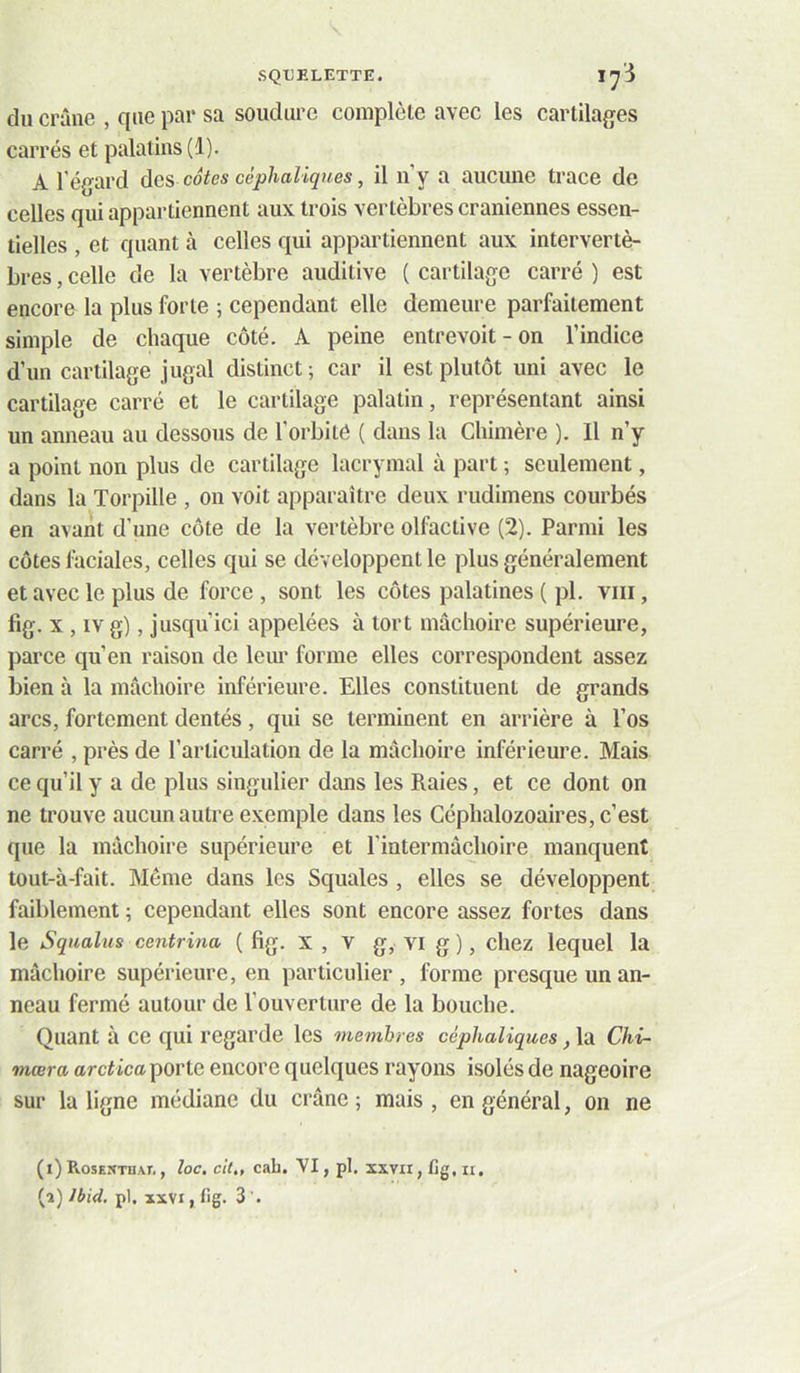 du crâne , que par sa soudure complète avec les cartilages carrés et palatins (1). A l’égard des côtes céphaliques, il n’y a aucune trace de celles qui appartiennent aux trois vertèbres crâniennes essen- tielles , et quant à celles qui appartiennent aux intervertè- bres , celle de la vertèbre auditive ( cartilage carré ) est encore la plus forte ; cependant elle demeure parfaitement simple de chaque côté. A peine entrevoit-on l’indice d’un cartilage jugal distinct ; car il est plutôt uni avec le cartilage carré et le cartilage palatin, représentant ainsi un anneau au dessous de l’orbitô ( daus la Chimère ). Il n’y a point non plus de cartilage lacrymal à part ; seulement, dans la Torpille , on voit apparaître deux rudimens courbés en avant d’une côte de la vertèbre olfactive (2). Parmi les côtes faciales, celles qui se développent le plus généralement et avec le plus de force , sont les côtes palatines ( pl. viii, fig. X , IV g), jusqu’ici appelées à tort mâchoire supérieure, parce qu’en raison de leur forme elles correspondent assez bien à la mâchoire inférieure. Elles constituent de grands arcs, fortement dentés, qui se terminent en arrière à l’os carré , près de l’articulation de la mâchoire inférieure. Mais ce qu’il y a de plus singulier dans les Raies, et ce dont on ne trouve aucun autre exemple dans les Céphalozoaires, c’est que la mâchoire supérieure et l’intermâchoire manquent tout-à-fait. Même dans les Squales , elles se développent faiblement ; cependant elles sont encore assez fortes dans le Squalus centrina ( fig. X , V g, VI g ) , chez lequel la mâchoire supérieure, en particulier, forme presque un an- neau fermé autour de l’ouverture de la bouche. Quant à ce qui regarde les membres céphaliques, la Chi- mœra arrfica porte encore quelques rayons isolés de nageoire sur la ligne médiane du crâne ; mais , en général, on ne (i) RosENniAr., loc. cit„ cab. VI, pl. xxvii, fig, u, (î) Ibid, pl. XXVI, tig. 3