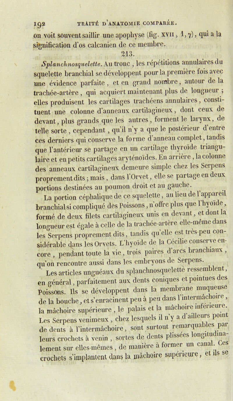 on voit souvent saillir une apophyse (fig. xvii, 1,7), qui a la signification d’os calcanien de ce membre. 213. S pi an chno squelette. Au tronc , les répétitions annulaires du squelette branchial se développent pour la première fois avec une évidence parfaite , et en grand nombre, autour de la trachée-artère , qui acquiert maintenant plus de longueur ; elles produisent les cartilages trachéens annulaires, consti- tuent une colonne d’anneaux, cartilagineux, dont ceux de devant, plus grands que les autres, forment le larynx, de telle sorte , cependant, qu’il n’y a que le postérieur d entre ces derniers qui conserve la forme d anneau complet, tandis que l’antérieur se partage en un cartilage thyroide triangu- laire et en petits cartilages aryténoïdes. En arrière, la colonne des anneaux cartilagineux demeure simple chez les Serpens proprement dits ; mais, dans l’Orvet, elle se partage en deux portions destinées au poumon droit et au gauche. La portion céphalique de ce squelette, au lieu de 1 6'^ branchial si compliqué des Poissons, n’offre plus que l’hyoïde, formé de deux filets cartilagineux unis en devant, et dont la longueur est égale à celle de la trachée-artère elle-même dans les Serpens proprement dits, tandis qu’elle est tres-peu con- sidérable dans les Orvets. L’hyoïde de la Cécihe conserve en- core , pendant toute la vie, trois paires d’arcs branchiaux , qu’on rencontre aussi dans les embryons de Serpens. Les articles unguéaux du splanchnosquelettè ressemblent, en général, parfaitement aux dents coniques et pointues des Poissons. Ils se développent dans la membrane muqueuse de la bouche, et s’enracinent peu à peu dans l’mtermac 1011 e, la mâchoire supérieure , le palais et la mâchoire inferieure Les Serpens venimeux , chez lesquels il n’y a d ailleurs poin^ de dents à l’intermâchoire, sont surtout remarquables pai leurs crochets à venin , sortes de dents plissées ongitu in lement sur elles-mêmes, de manière à former un canal Ces