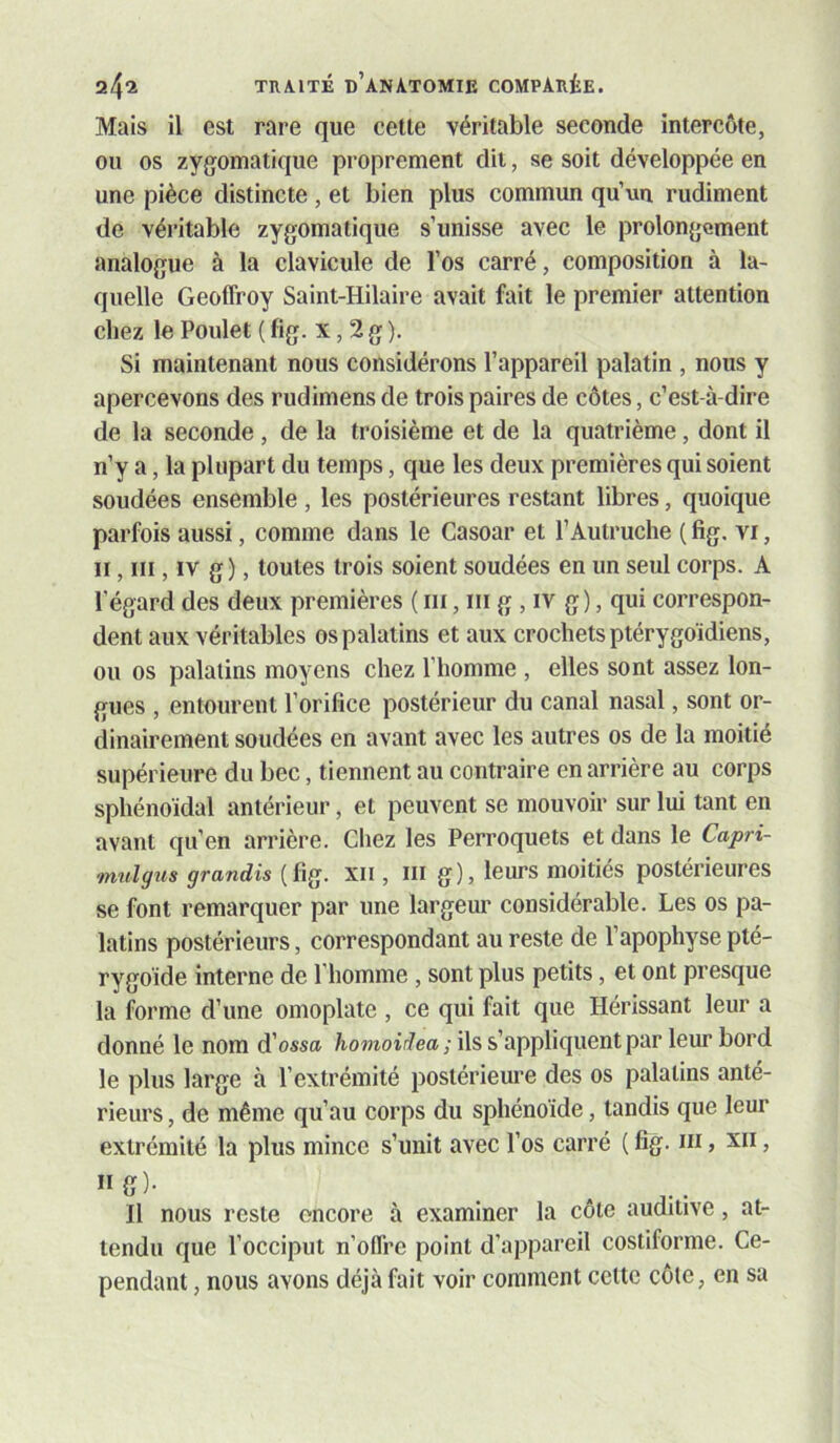 Mais il est rare que celte véritable seconde intercôte, ou os zygomatique proprement dit, se soit développée en une pièce distincte , et bien plus commun qu’un rudiment de véritable zygomatique s’unisse avec le prolongement analogue à la clavicule de l’os carré, composition à la- quelle Geoffroy Saint-Hilaire avait fait le premier attention chez le Poulet ( fig. x, 2 g ). Si maintenant nous considérons l’appareil palatin , nous y apercevons des rudimens de trois paires de côtes, c’est-à-dire de la seconde , de la troisième et de la quatrième, dont il n’y a, la plupart du temps, que les deux premières qui soient soudées ensemble , les postérieures restant libres, quoique parfois aussi, comme dans le Casoar et l’Autruche ( fig, vi, Il, III, IV g), toutes trois soient soudées en un seul corps. A l’égard des deux premières ( iii, iii g , iv g), qui correspon- dent aux véritables os palatins et aux crochets ptérygoïdiens, ou os palatins moyens chez l’homme , elles sont assez lon- gues , entourent l’orifice postérieur du canal nasal, sont or- dinairement soudées en avant avec les autres os de la moitié supérieure du bec, tiennent au contraire en arrière au corps sphénoïdal antérieur, et peuvent se mouvoir sur lui tant en avant qu’en arrière. Chez les Perroquets et dans le Capri- midgus grandis (fig. xii, iii g), leurs moitiés postérieures se font remarquer par une largem’ considérable. Les os pa- latins postérieurs, correspondant au reste de l’apophyse pté- rygoïde interne de l’homme , sont plus petits, et ont presque la forme d’une omoplate , ce qui fait que Hérissant leur a donné le nom d’ossa homoidea ; ils s’appliquent par leur bord le plus large à l’extrémité postérieure des os palatins anté- rieurs , de même qu’au corps du sphénoïde, tandis que leur extrémité la plus mince s’unit avec l’os carré (fig. ni, xii, ff)- ^ Il nous reste encore à examiner la côte auditive, at- tendu que l’occiput n’offre point d’appareil costiforme. Ce- pendant , nous avons déjà fait voir comment cette côte, en sa