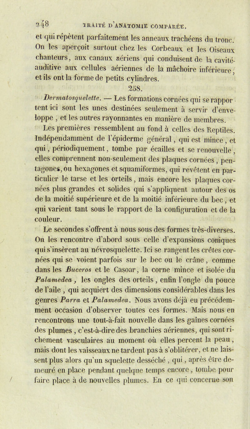 et qui répètent parfaitement les anneaux trachéens du tronc. On les aperçoit surtout chez les Corbeaux et les Oiseaux chanteurs, aux canaux aériens qui conduisent de la cavité- auditive aux cellules aériennes de la mâchoire inférieure et ils ont la forme de petits cylindres. 258. Dermatosquelette. — Les formations cornées qui se rappor tent ici sont les unes destinées seulement à servir d’enve- loppe , et les autres rayonnantes en manière de membres. Les premières ressemblent au fond à celles des Reptiles. Indépendamment de l’épiderme général, qui est mince, et qui, périodiquement, tombe par écailles et se renouvelle , elles comprennent non-seulement des plaques cornées, pen- tagones, ou hexagones et squamiformes, qui revêtent en par- ticulier le tarse et les orteils, mais encore les plaques cor- nées plus grandes et solides qui s’appliquent autour des os de la moitié supérieure et de la moitié inférieure du bec, et qui varient tant sous le rapport de la configuration et de la couleur. Le secondes s’offrent à nous sous des formes très-diverses. On les rencontre d’abord sous celle d’expansions coniques qui s’insèrent au névrosquelette. Ici se rangent les crêtes cor- nées qui se voient parfois sur le bec ou le crâne, comme dans les Buceros et le Casoar, la corne mince et isolée du Palamedea, les ongles des orteils, enfin l’ongle du pouce de l’aile , qui acquiert des dimensions considérables dans les genres Parra et Palamedea. Nous avons déjà eu précédem- ment occasion d’observer toutes ces formes. Mais nous en rencontrons une tout-à-fait nouvelle dans les gaines cornées des plumes, c’est-à-dire des branchies aériennes, qui sont ri- chement vasculaires au moment où elles percent la peau, mais dont les vaisseaux ne tardent pas à s’oblitérer, et ne lais- sent plus alors qu’un squelette desséché , qui, après être de- meuré en place pendant quchpic temps encore, tombe pour faire place à de nouvelles plumes. En ce (jm concerne son /