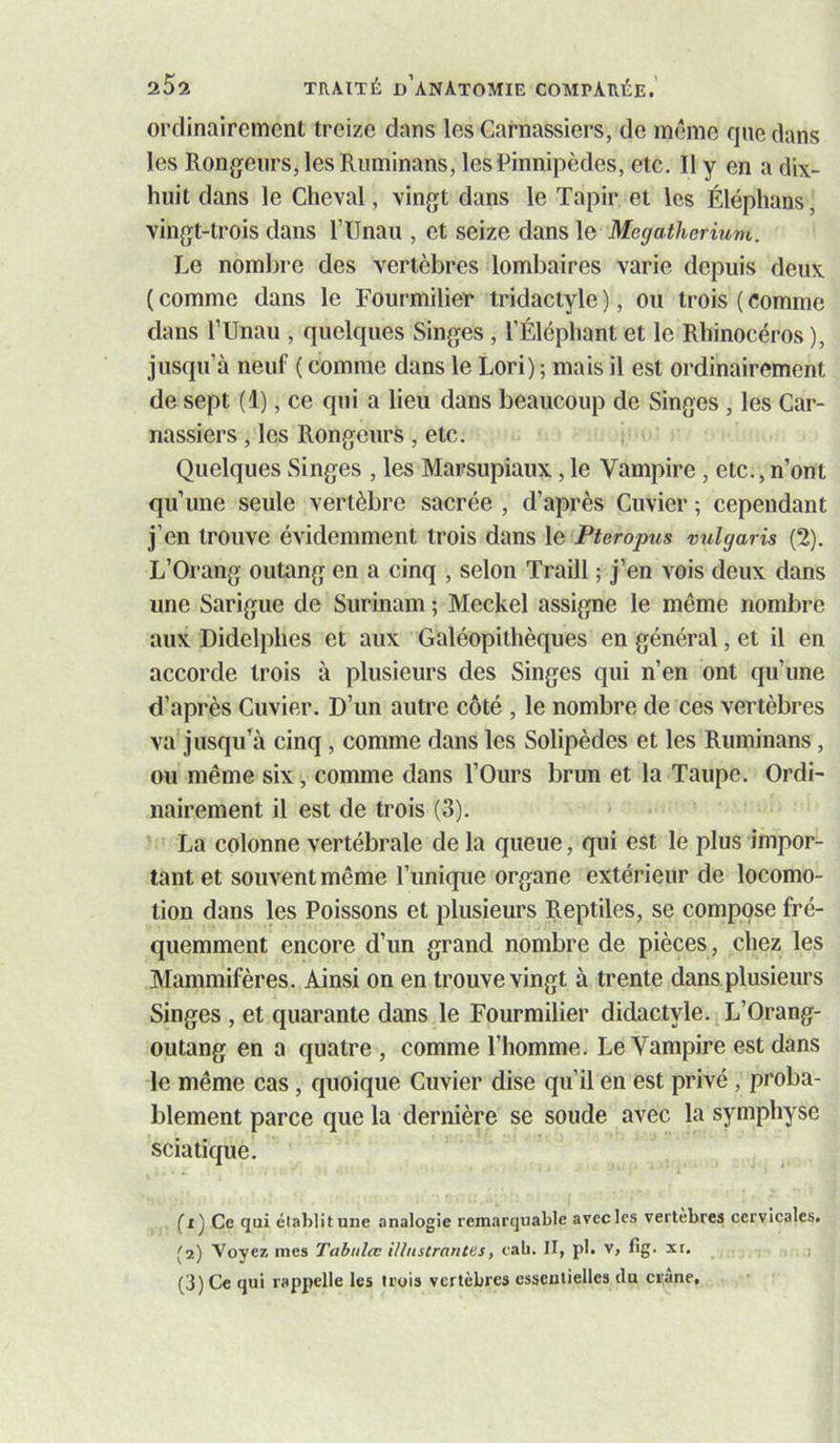 ordinairement treize dans les Carnassiers, de même que dans les Rongeurs, les Ruminans, les Pinnipèdes, etc. Il y en a dix- huit dans le Cheval, vingt dans le Tapir et les Éléphans, vingt-trois dans l’Unau , et seize dans le Mégathérium. Le nombre des vertèbres lombaires varie depuis deux ( comme dans le Fourmilier tridactyle ), ou trois ( comme dans l’Unau , quelques Singes, l’Éléphant et le Rhinocéros ), jusqu’à neuf ( comme dans le Lori) ; mais il est ordinairement de sept (1), ce qui a lieu dans beaucoup de Singes, les Car- nassiers , les Rongeurs , etc. Quelques Singes , les Marsupiaux, le Vampire, etc.,n’ont qu’une seule vertèbre sacrée , d’après Cuvier ; cependant j’en trouve évidemment trois dans le Pteropus vulgaris (2). L’Orang oiitang en a cinq , selon Traill ; j’en vois deux dans une Sarigue de Surinam ; Meckel assigne le même nombre aux Didelphes et aux Galéopithèques en général, et il en accorde trois à plusieurs des Singes qui n’en ont qu’une d’après Cuvier. D’un autre côté , le nombre de ces vertèbres va jusqu’à cinq, comme dans les Solipèdes et les Ruminans, ou même six, comme dans l’Ours brun et la Taupe. Ordi- nairement il est de trois (3). La colonne vertébrale de la queue, qui est le plus impor- tant et souvent même l’unique organe extérieur de locomo- tion dans les Poissons et plusieurs Reptiles, se compose fré- quemment encore d’un grand nombre de pièces , chez les Mammifères. Ainsi on en trouve vingt à trente dans plusieurs Singes , et quarante dans le Fourmilier didactyle. L’Orang- outang en a quatre , comme l’homme. Le Vampire est dans le même cas, quoique Cuvier dise qu’il en est privé , proba- blement parce que la dernière se soude avec la symphyse sciatique. (t'j Ce qui établit une analogie remarquable avec les vertèbres cervicales. '2) Voyez mes Tahulœ Uhistrantes, tab. II, pl. v, flg. xr, , (3) Ce qui rappelle les trois vertèbres essentielles du crâne.