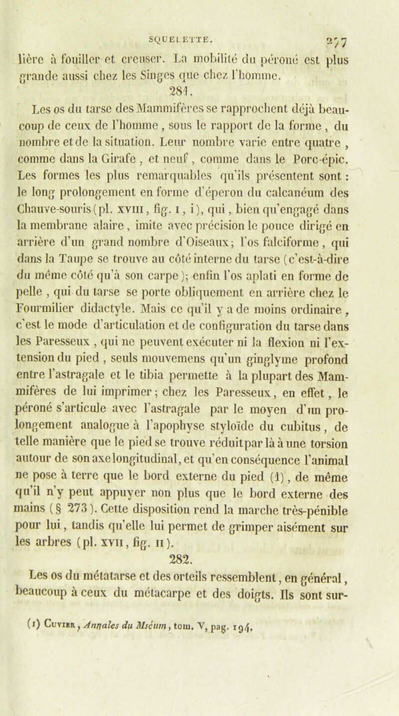 '-i/7 Uère à l'ouiller et creuser. La mobilité du péroné est plus {grande aussi chez les Singes que chez l'homme. 28'J. Les os du tarse des Mammifères se rapprochent déjà beau- coup de ceux de l’homme , sous le rapport de la forme , du nombre et de la situation. Leur nombre varie entre quatre , comme dans la Girafe , et neuf, comme dans le Porc-épic. Les formes les plus remarquables qu’ils présentent sont : le long prolongement en forme d’éperon du calcanéum des Chauve-souris(pl. xviii, fig. i, i), qui, bien qu’engagé dans la membrane alaire, imite avec précision le pouce dirigé en arrière d’un gi'and nombre d’Oiseaux; l’os falciforme, qui dans la Taupe se trouve au côté interne du tarse (c’est-à-dire du meme côté qu’à son carpe ); enfin l’os aplati en forme de pelle , qui du tarse se porte obliquement en arrière chez le Fourmilier didactyle. Mais ce qu’il y a de moins ordinaire , c’est le mode d’articulation et de configuration du tarse dans les Paresseux , qui ne peuvent exécuter ni la flexion ni l’ex- tension du pied , seuls mouvemens qu’un ginglyine profond entre l’astragale et le tibia permette à la plupart des Mam- mifères de lui imprimer ; chez les Paresseux, en effet, le péroné s’articule avec l’astragale par le moyen d’un pro- longement analogue à l’apophyse styloïde du cubitus, de telle manière que le pied se trouve réduit par là à une torsion autour de son axe longitudinal, et qu’en conséquence l’animal ne pose à terre que le bord externe du pied (1), de même qu’il n’y peut appuyer non plus que le bord externe des mains {§ 273 ). Cette disposition rend la marche très-pénible pour lui, tandis quelle lui permet de grimper aisément sur les arbres (pl. xvii, fig. n). 282. Les os du métatarse et des orteils ressemblent, en général, beaucoup à ceux du métacarpe et des doigts. Ils sont sur-